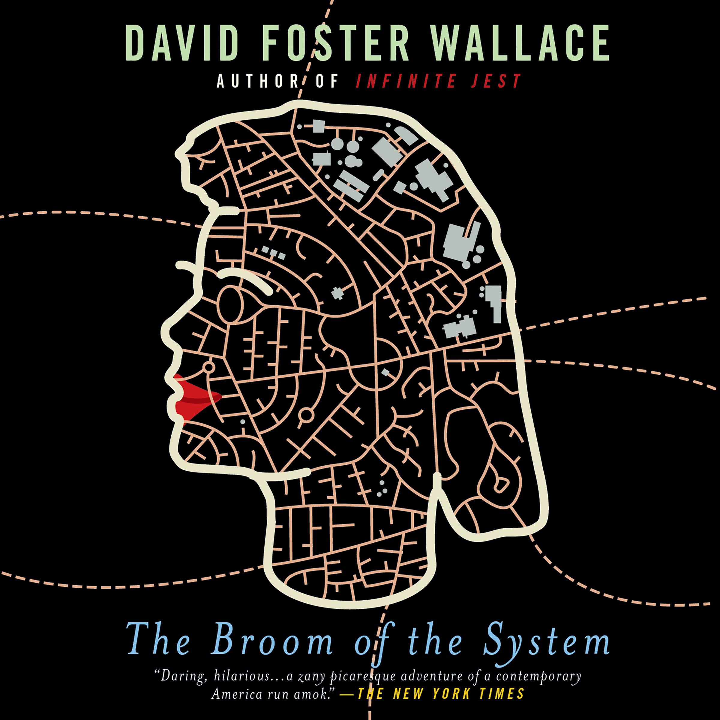 The Broom of the System