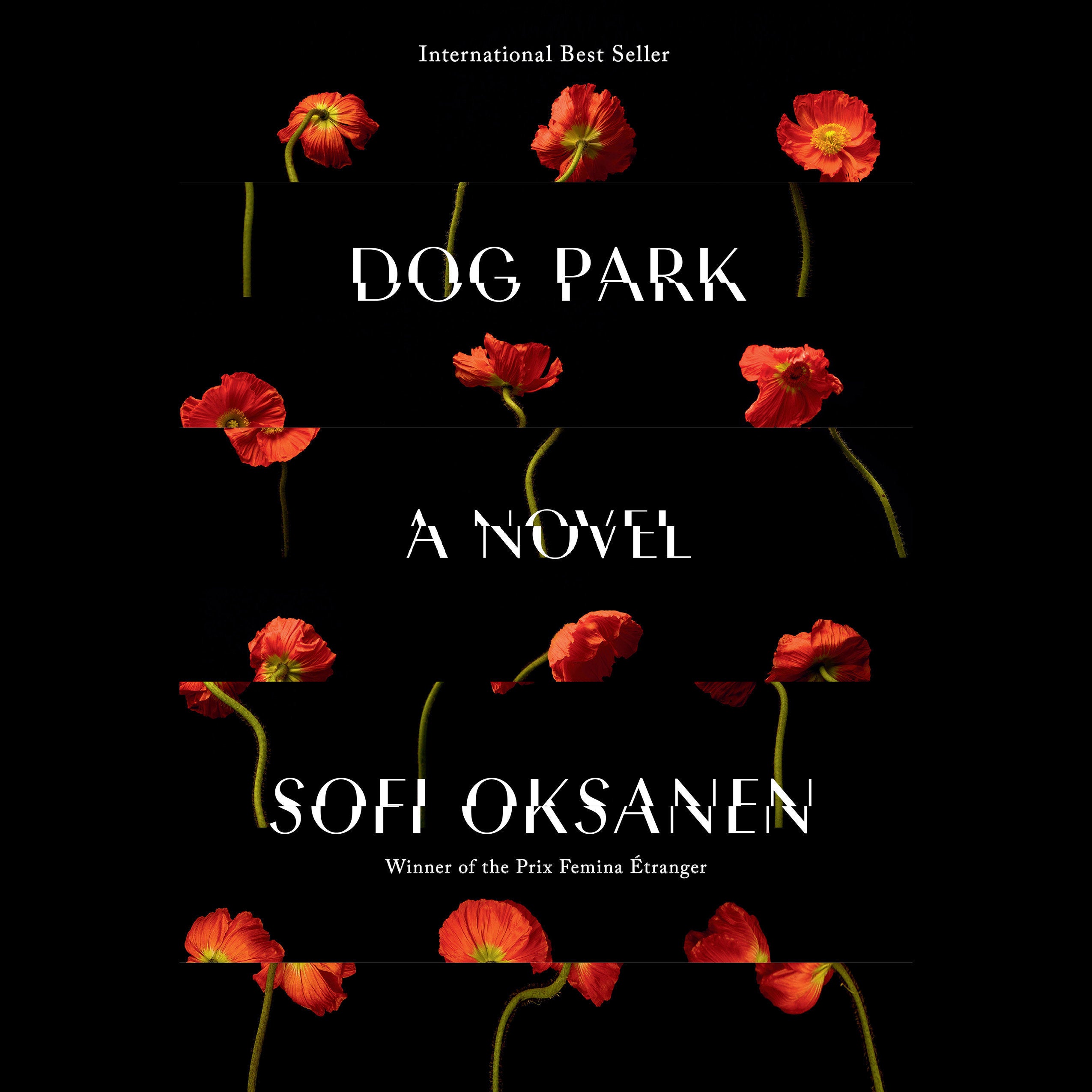 Dog Park