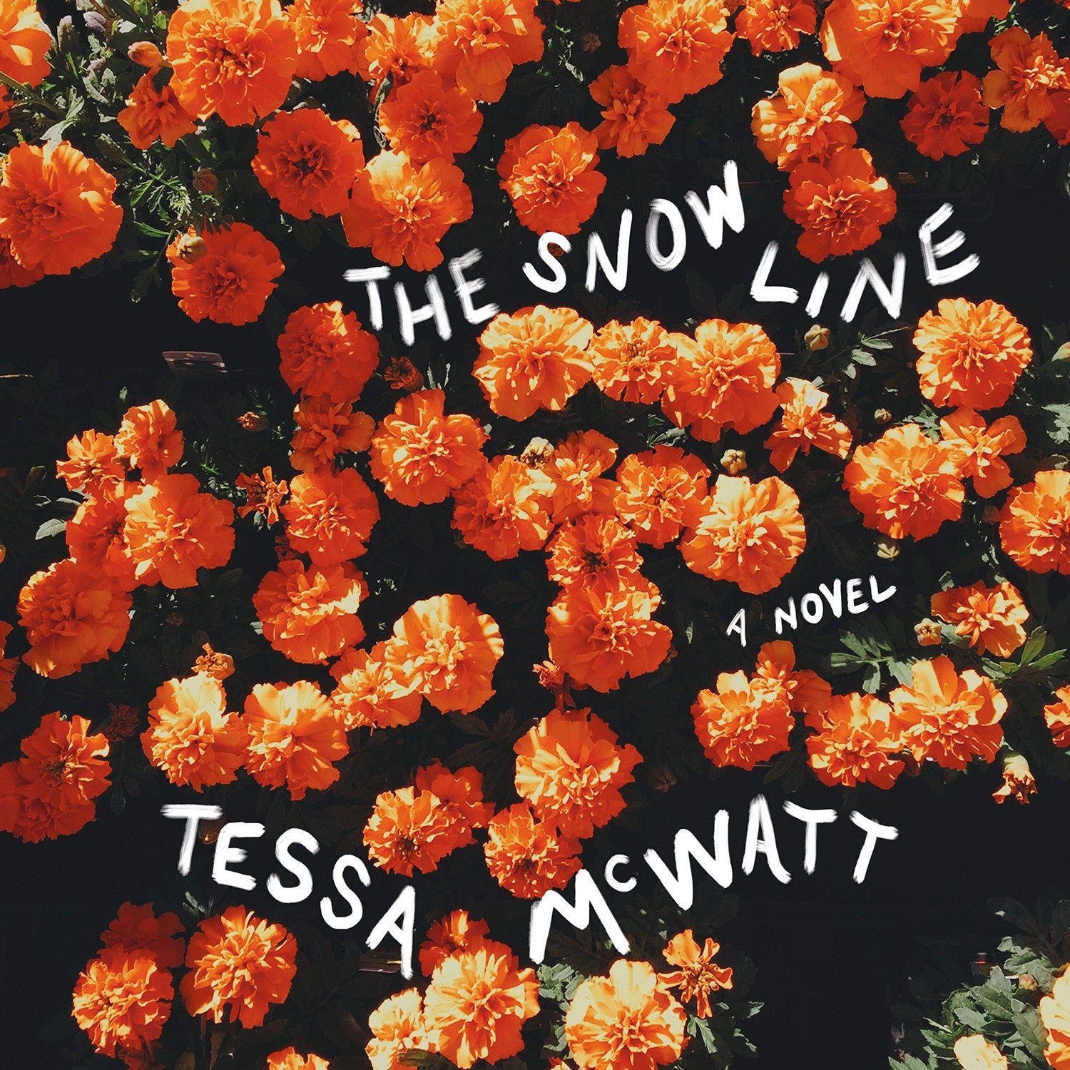 The Snow Line