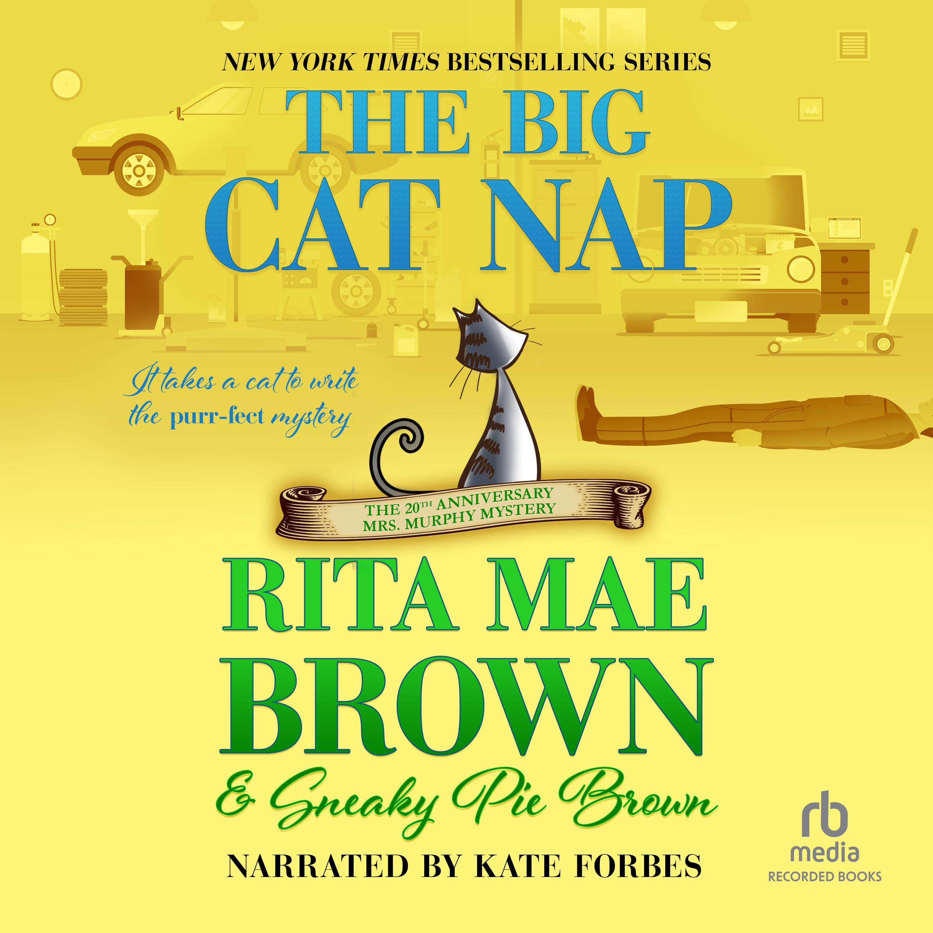 The Big Cat Nap