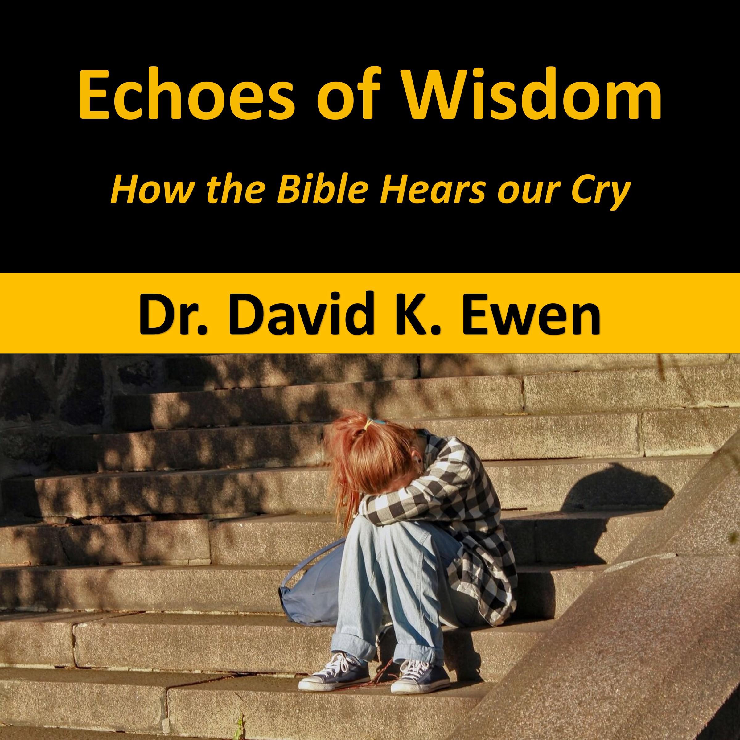 Echoes of Wisdom