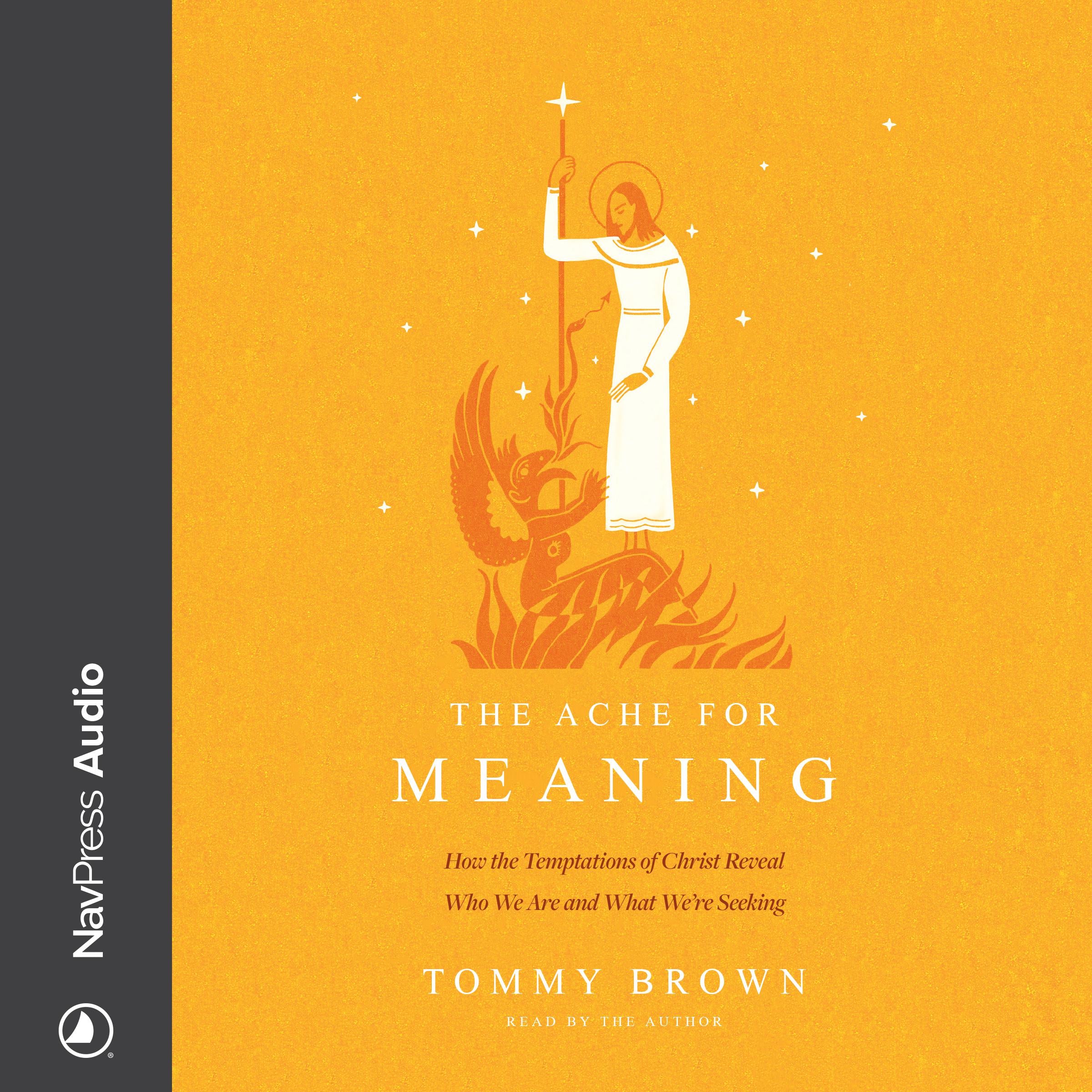The Ache for Meaning
