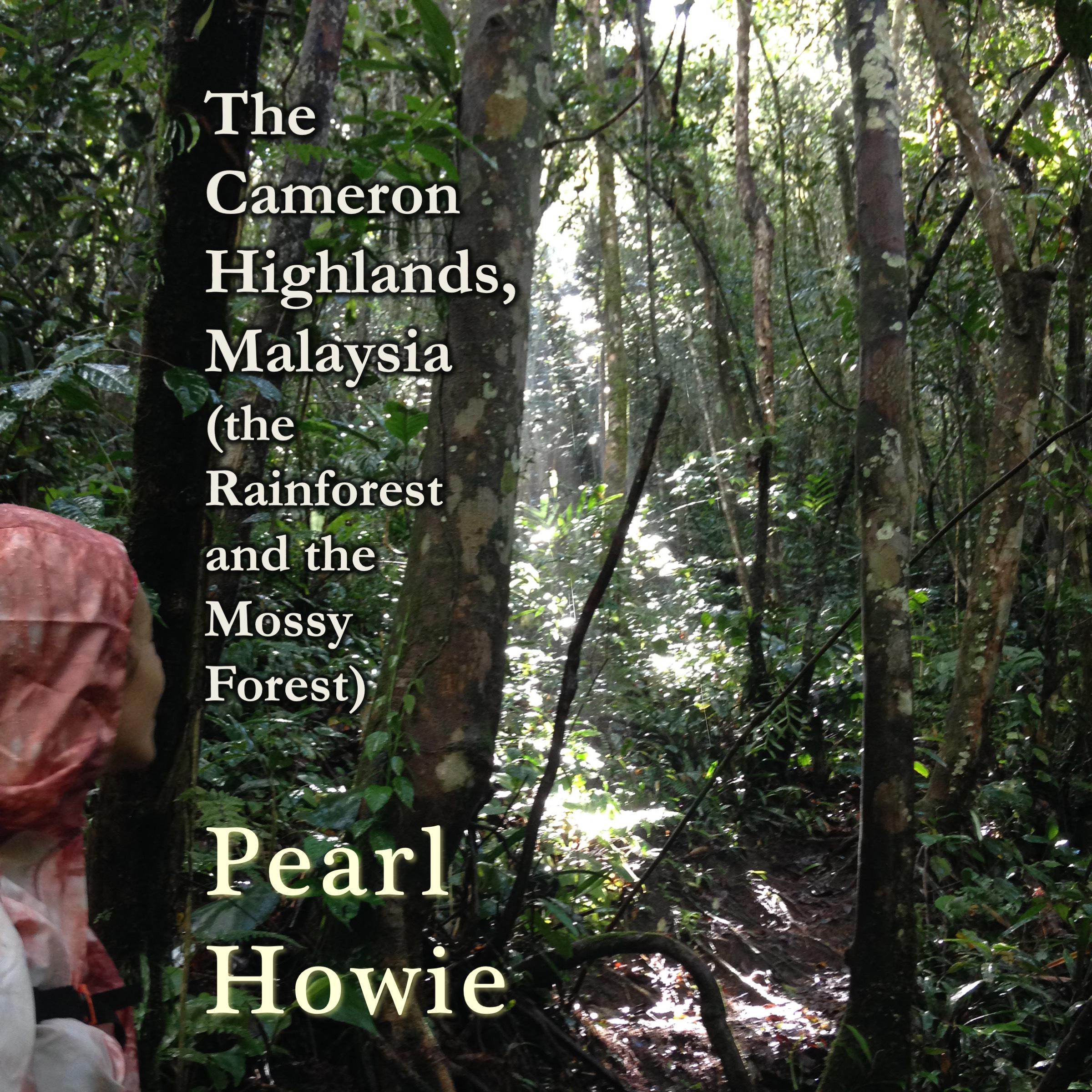 The Cameron Highlands, Malaysia (the Rainforest and the Mossy Forest)
