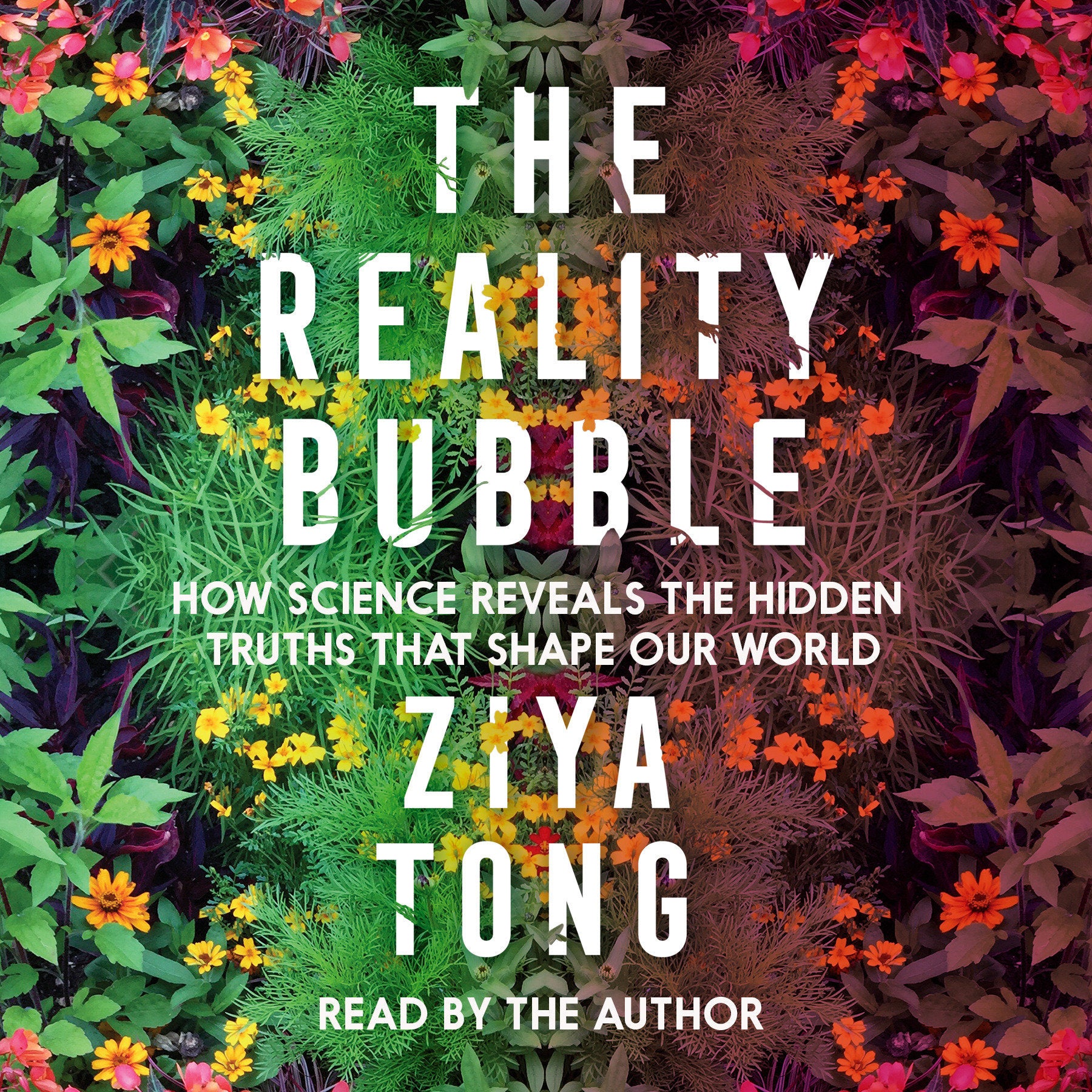 The Reality Bubble