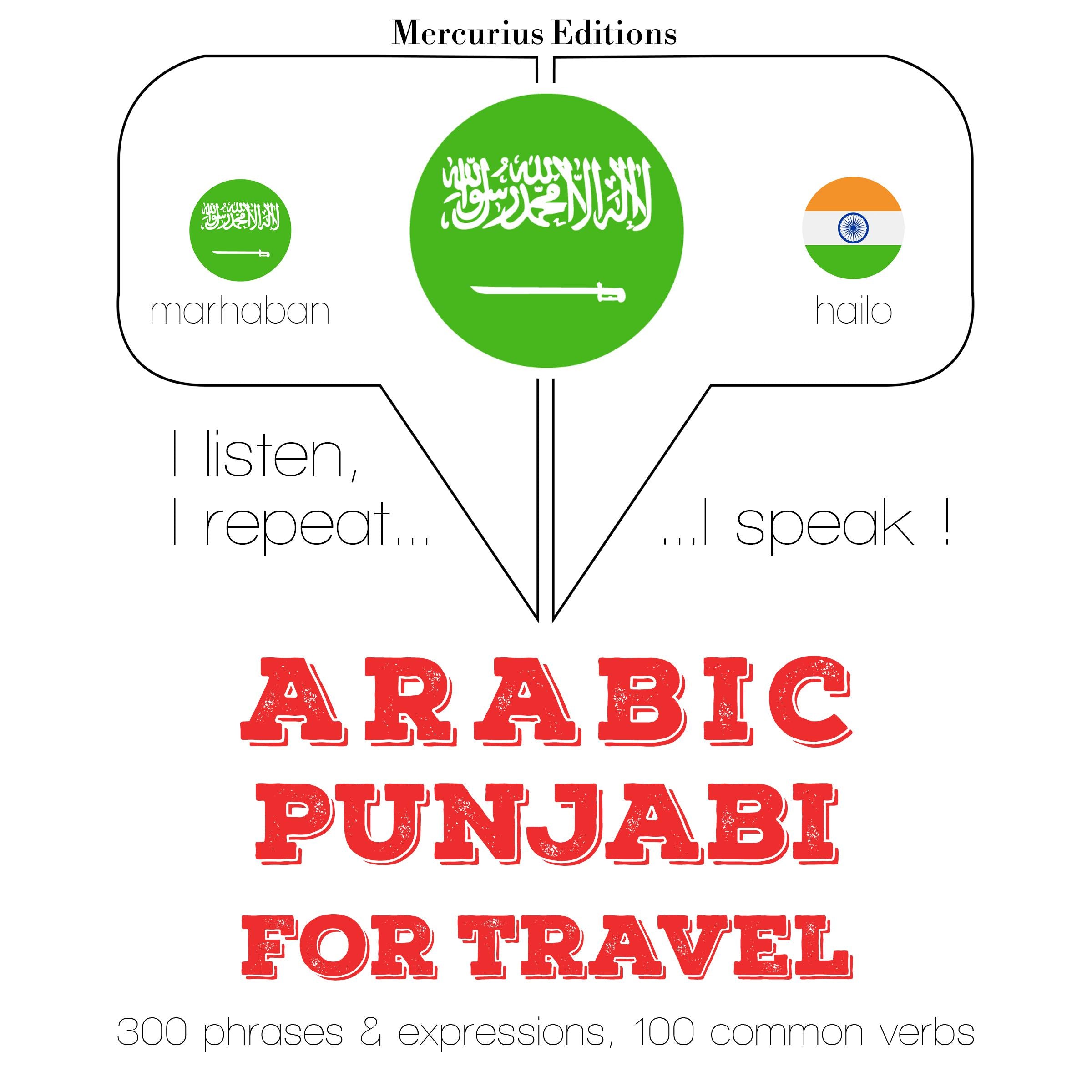 الكلمات والعبارات السفر في البنجابية