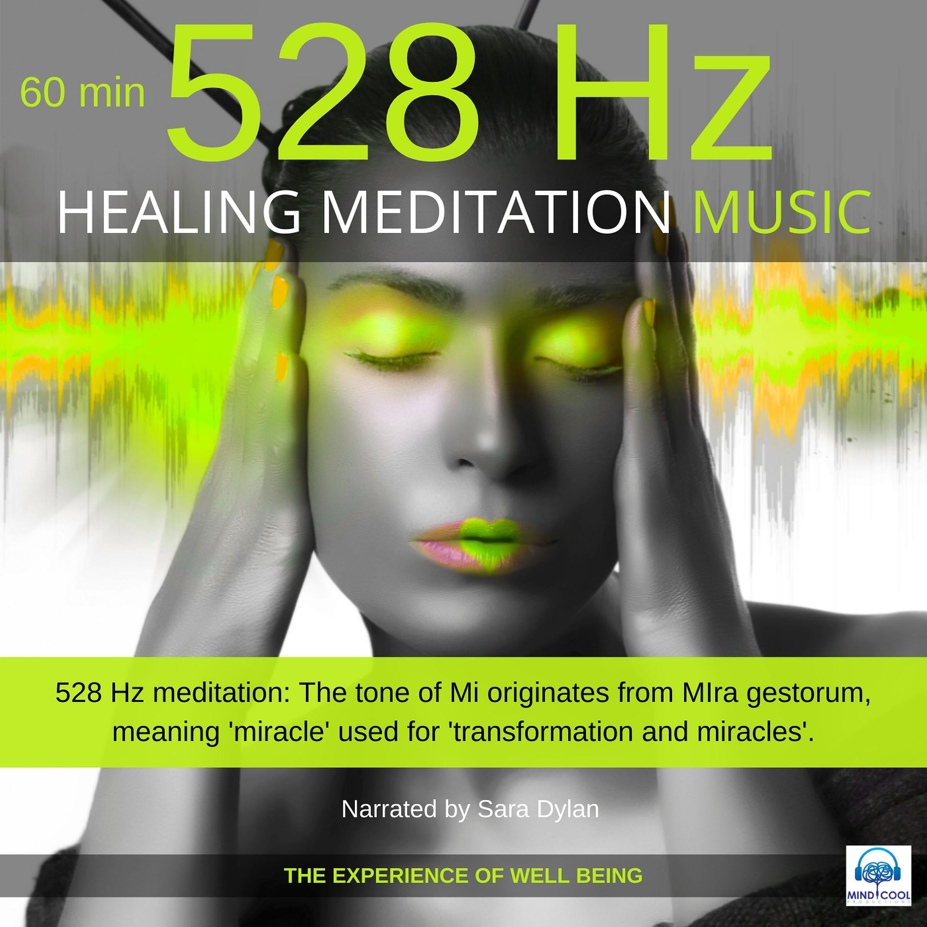 Healing Meditation Music 528 Hz 60 minutes