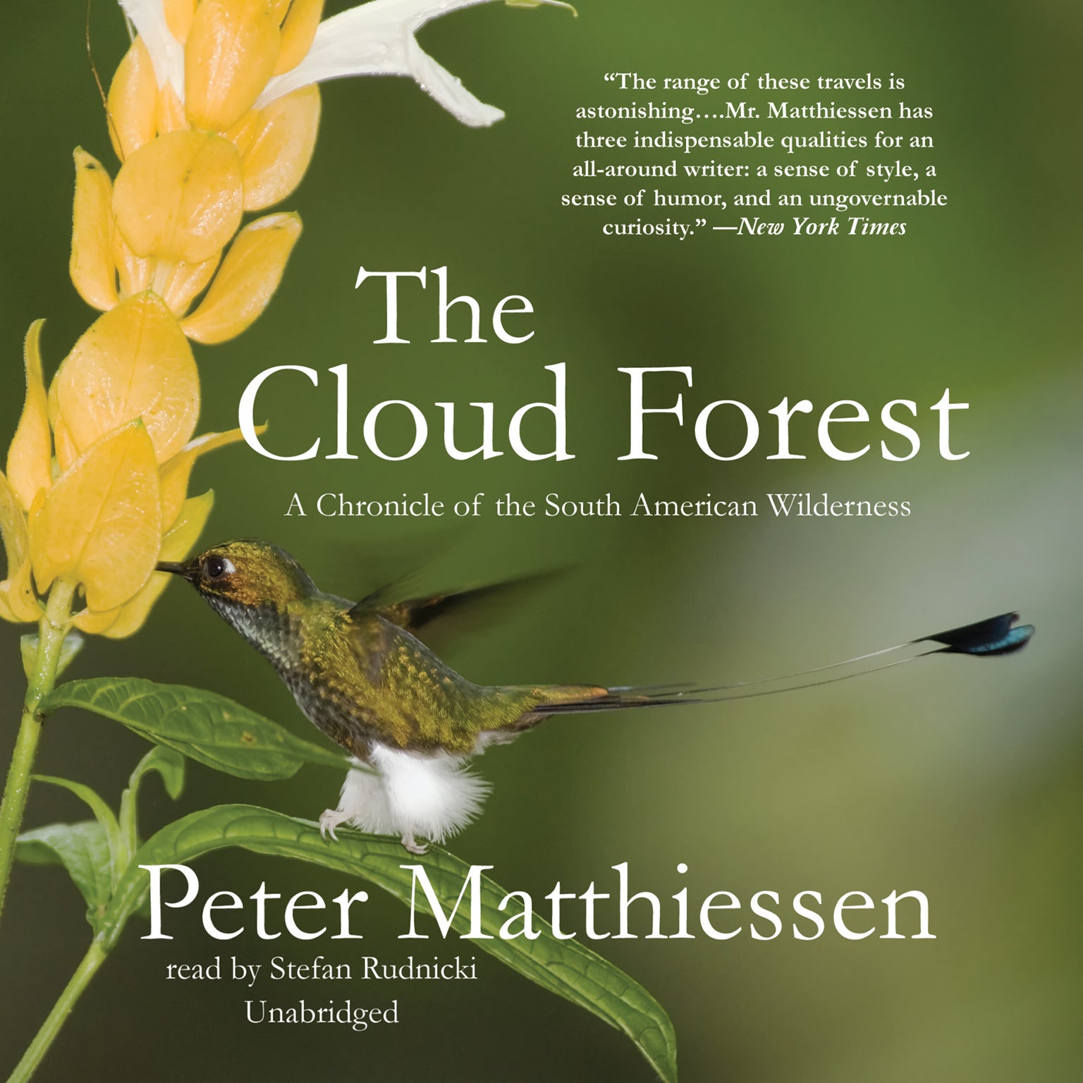 The Cloud Forest