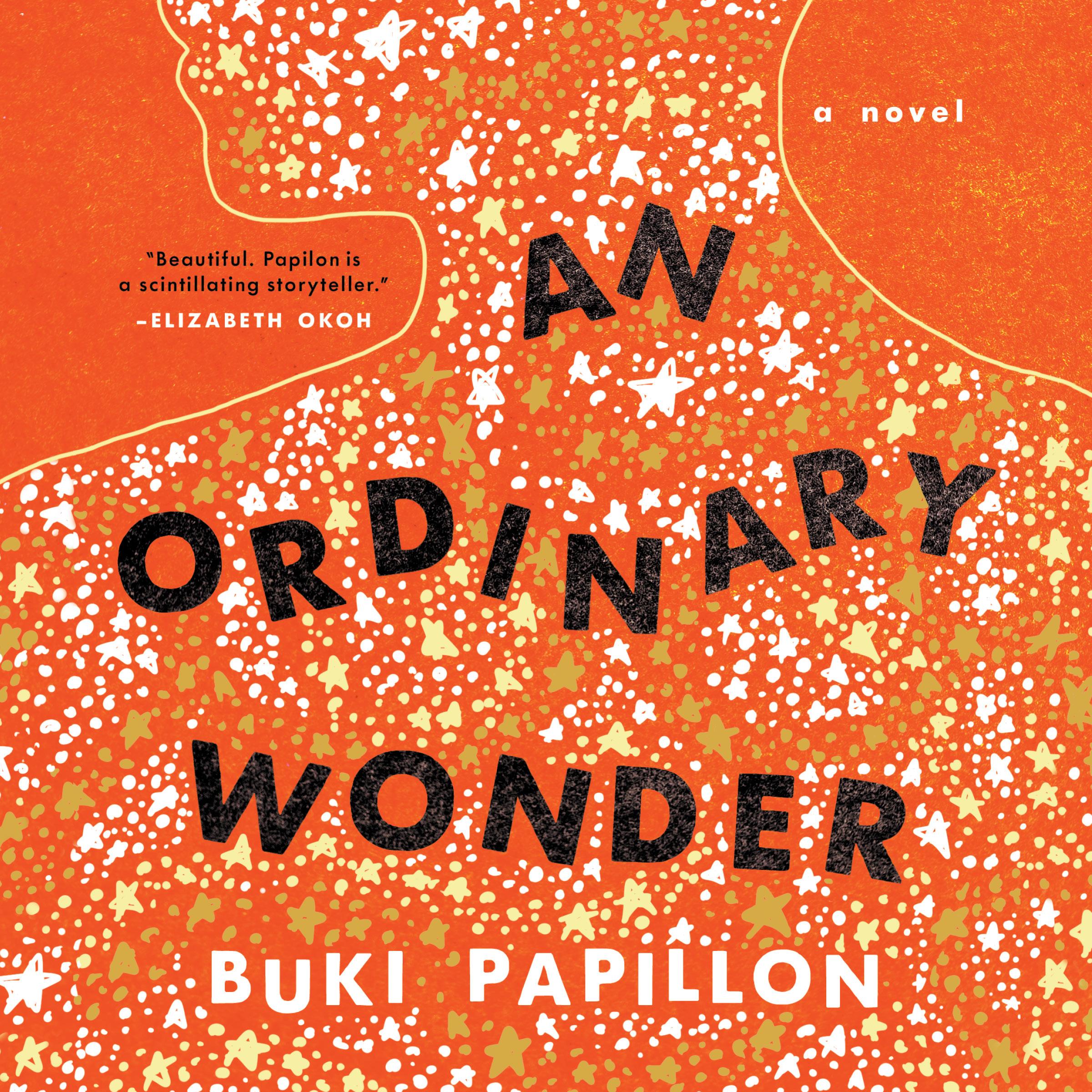 An Ordinary Wonder