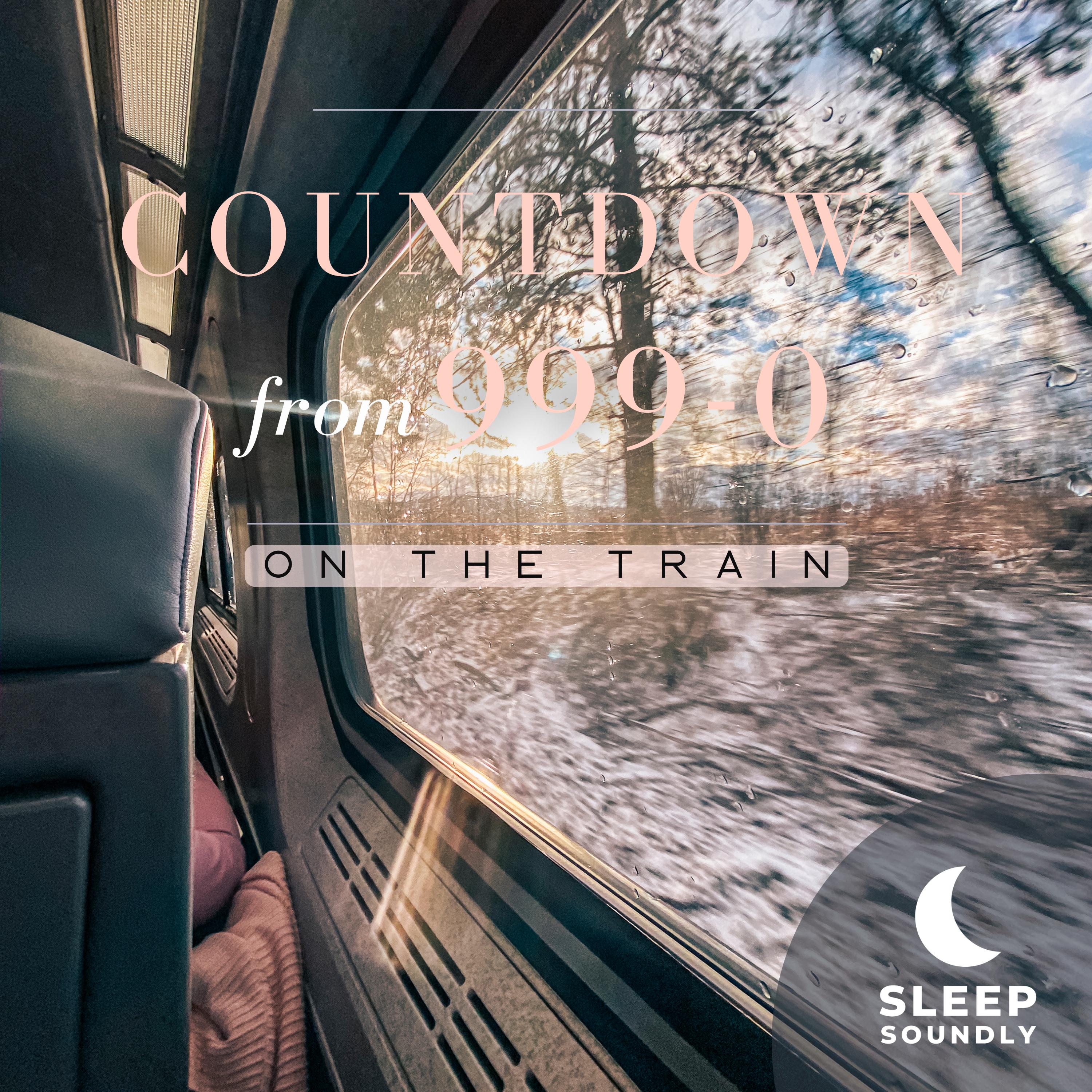 Countdown from 999-0: On the Train