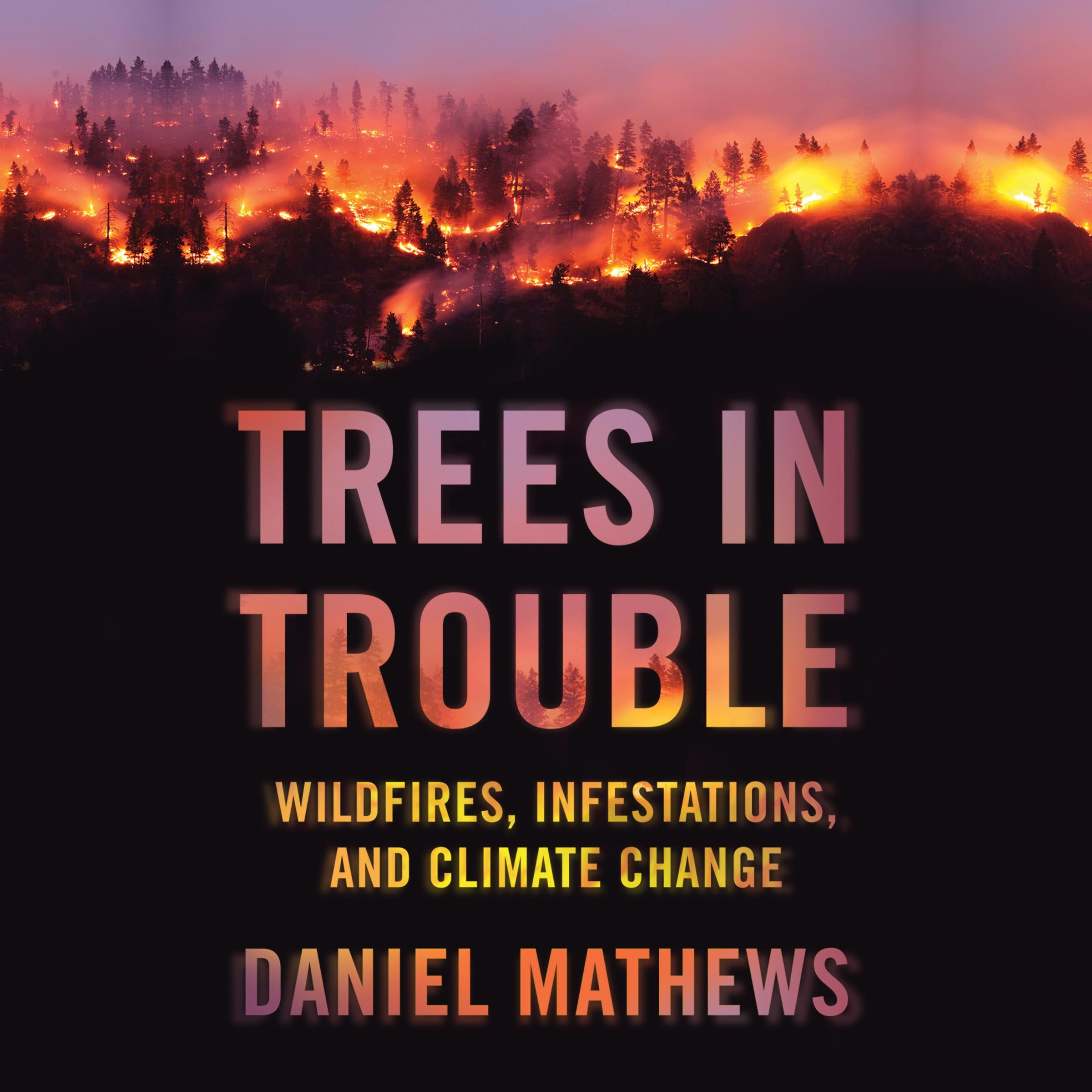 Trees in Trouble