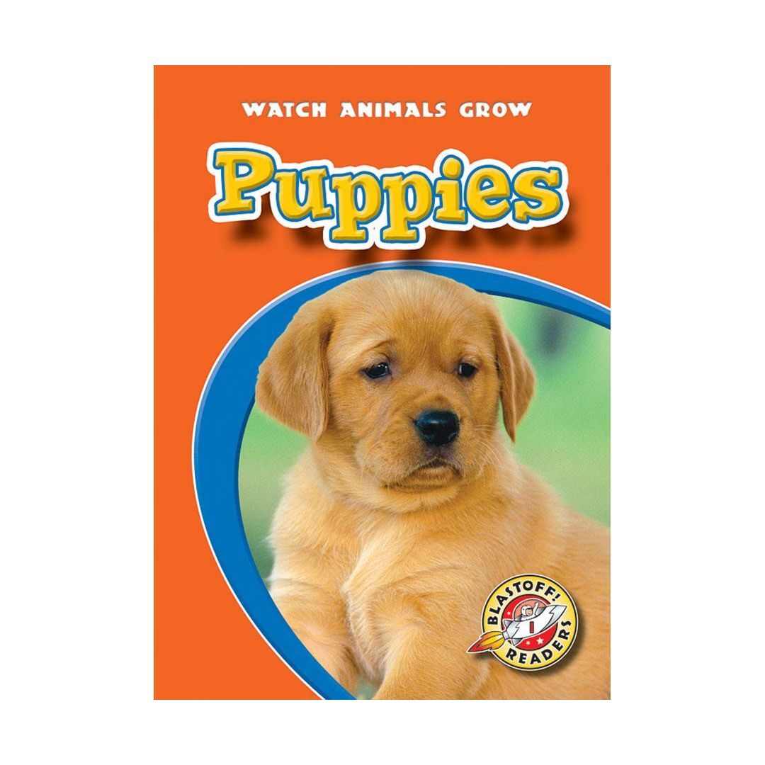 Puppies