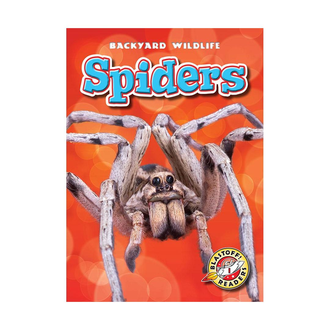Spiders