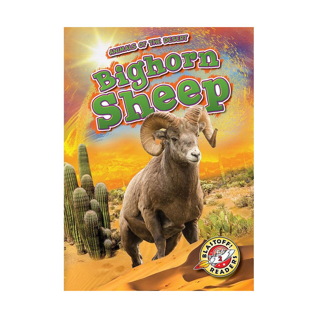 Bighorn Sheep