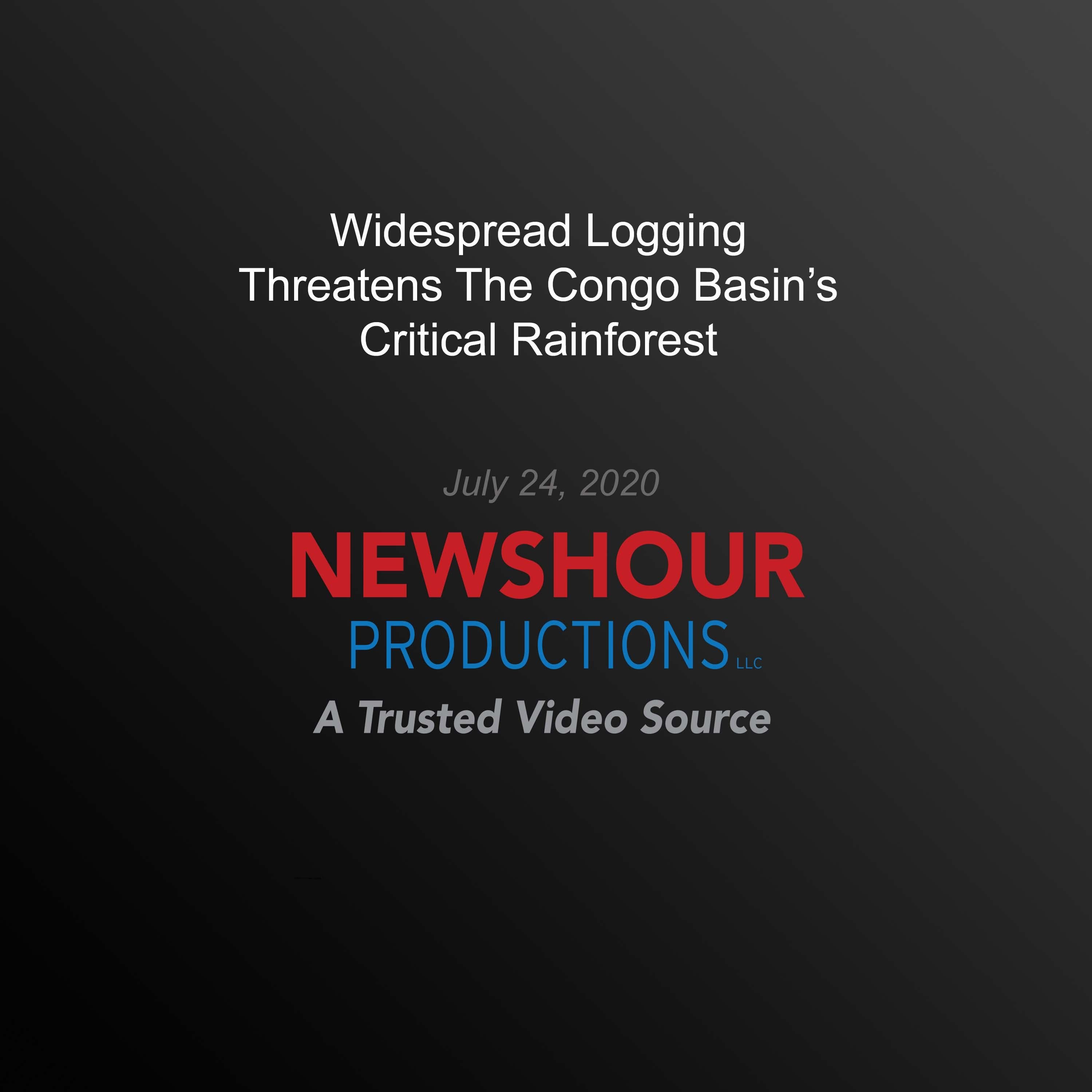 Widespread Logging Threatens The Congo Basin’s Critical Rainforest