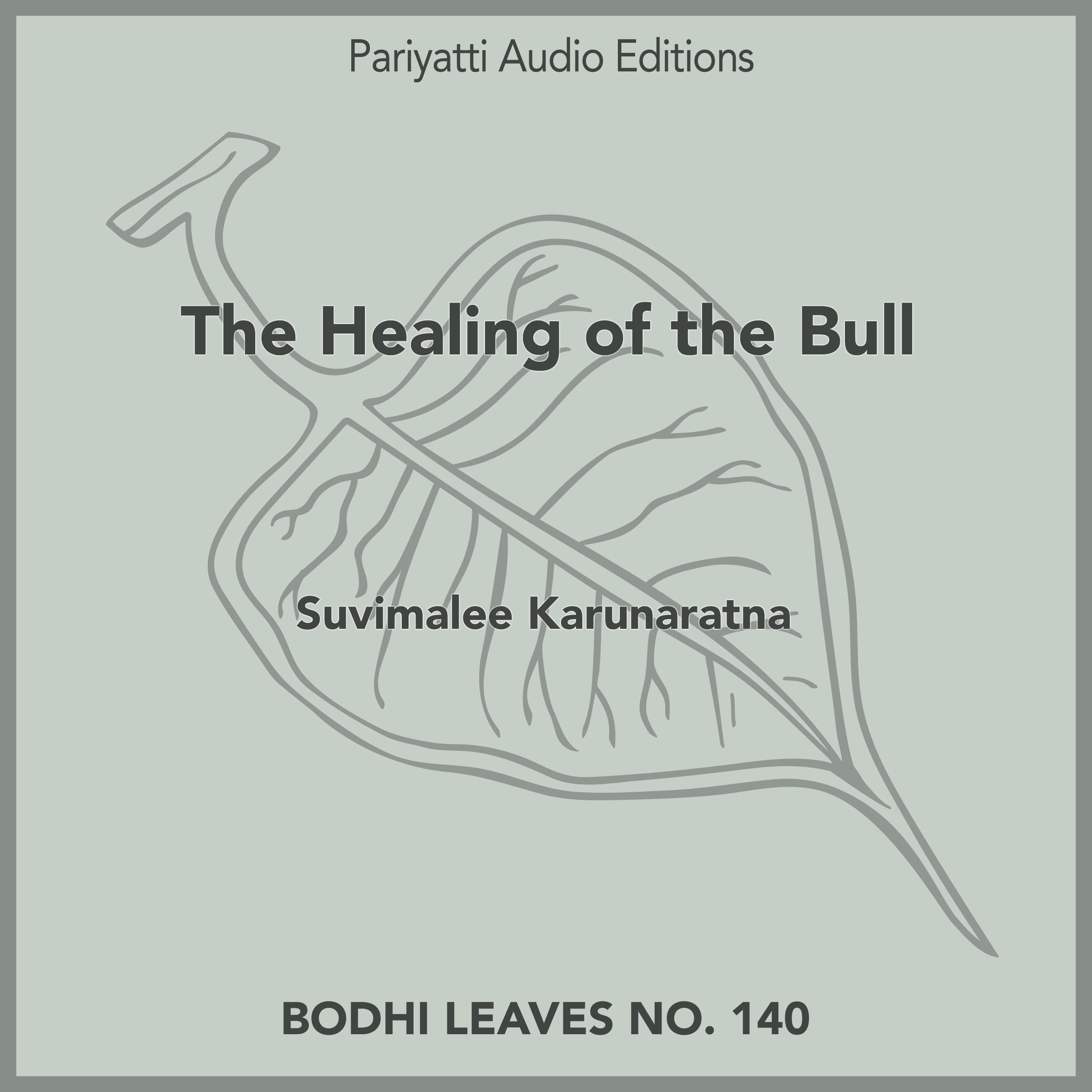 The Healing of the Bull