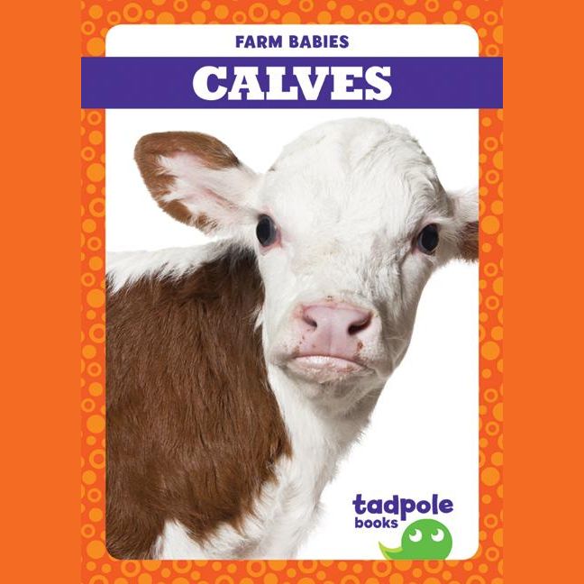 Calves