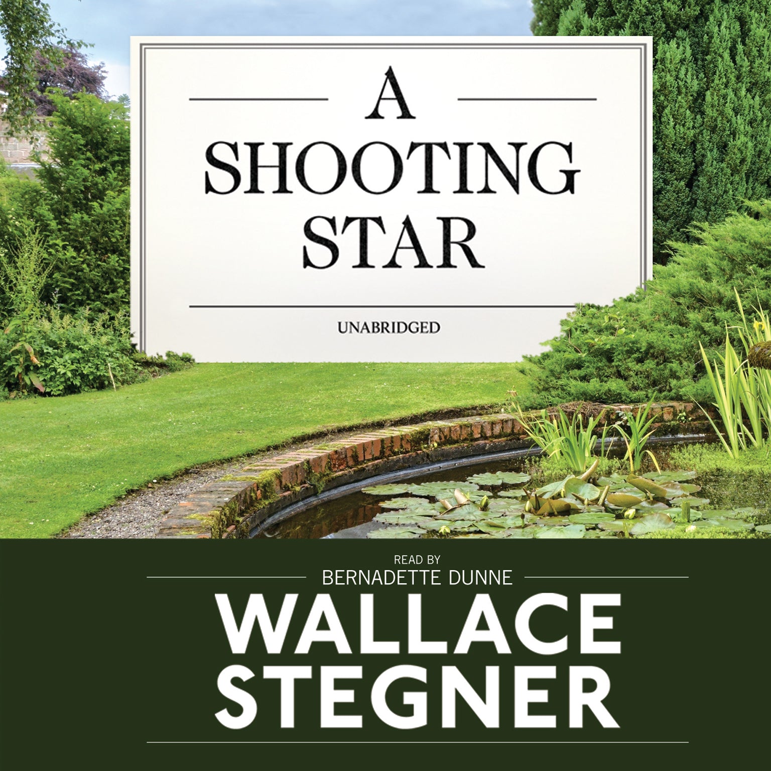 A Shooting Star