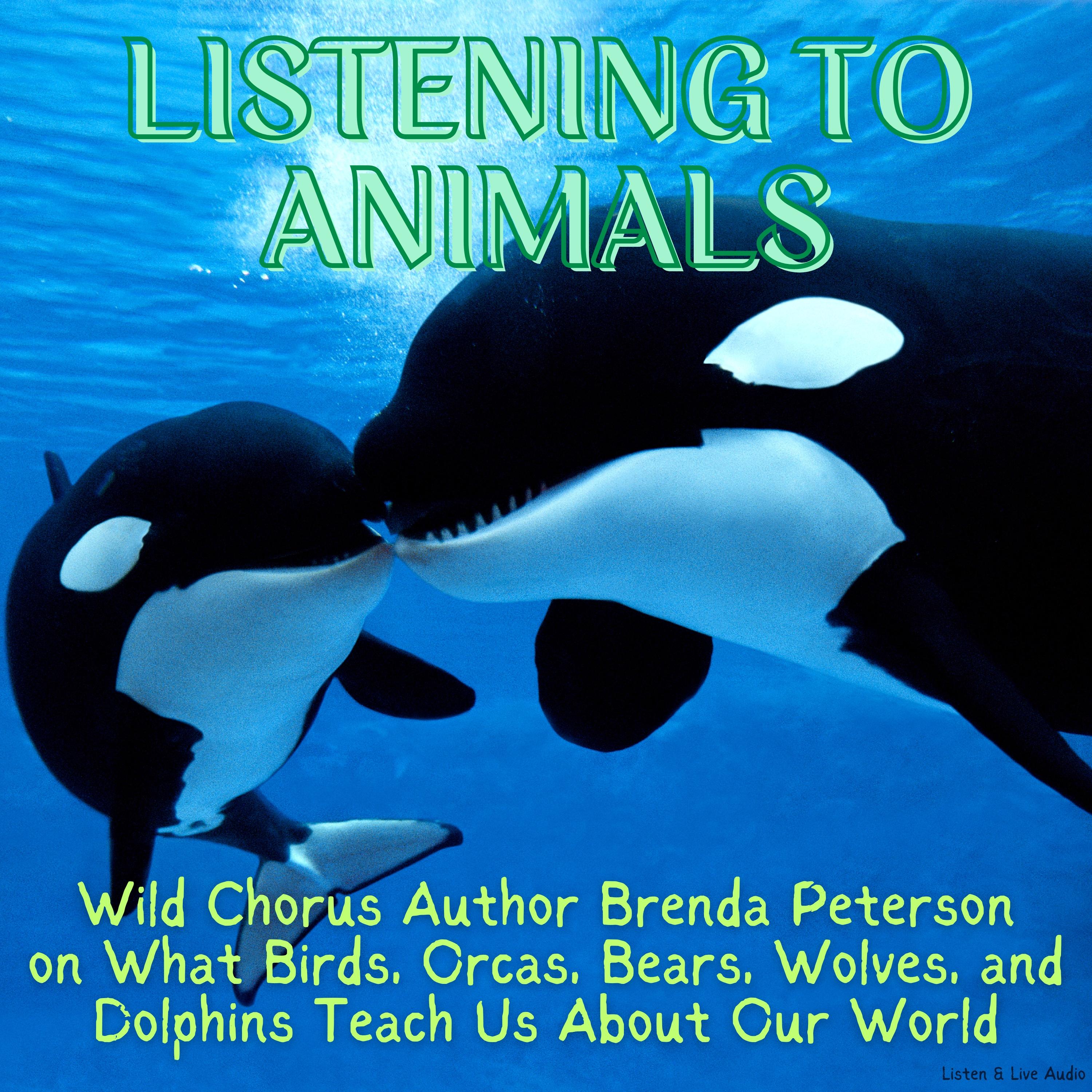 Listening to Animals:  Wild Chorus Author Brenda Peterson on What Birds, Orcas, Bears, Wolves, and Dolphins Teach Us About Our World