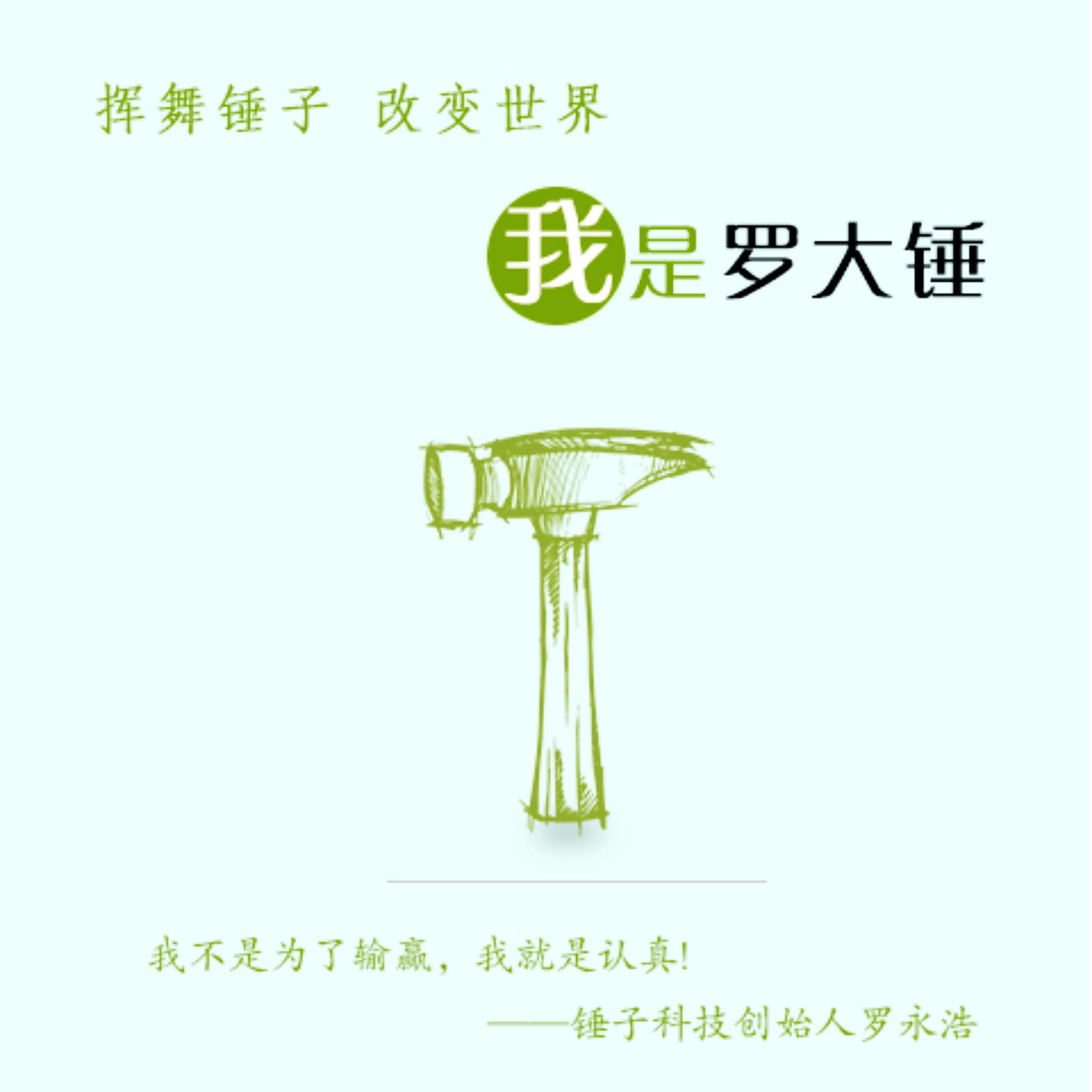 挥舞锤子，改变世界：我是罗大锤