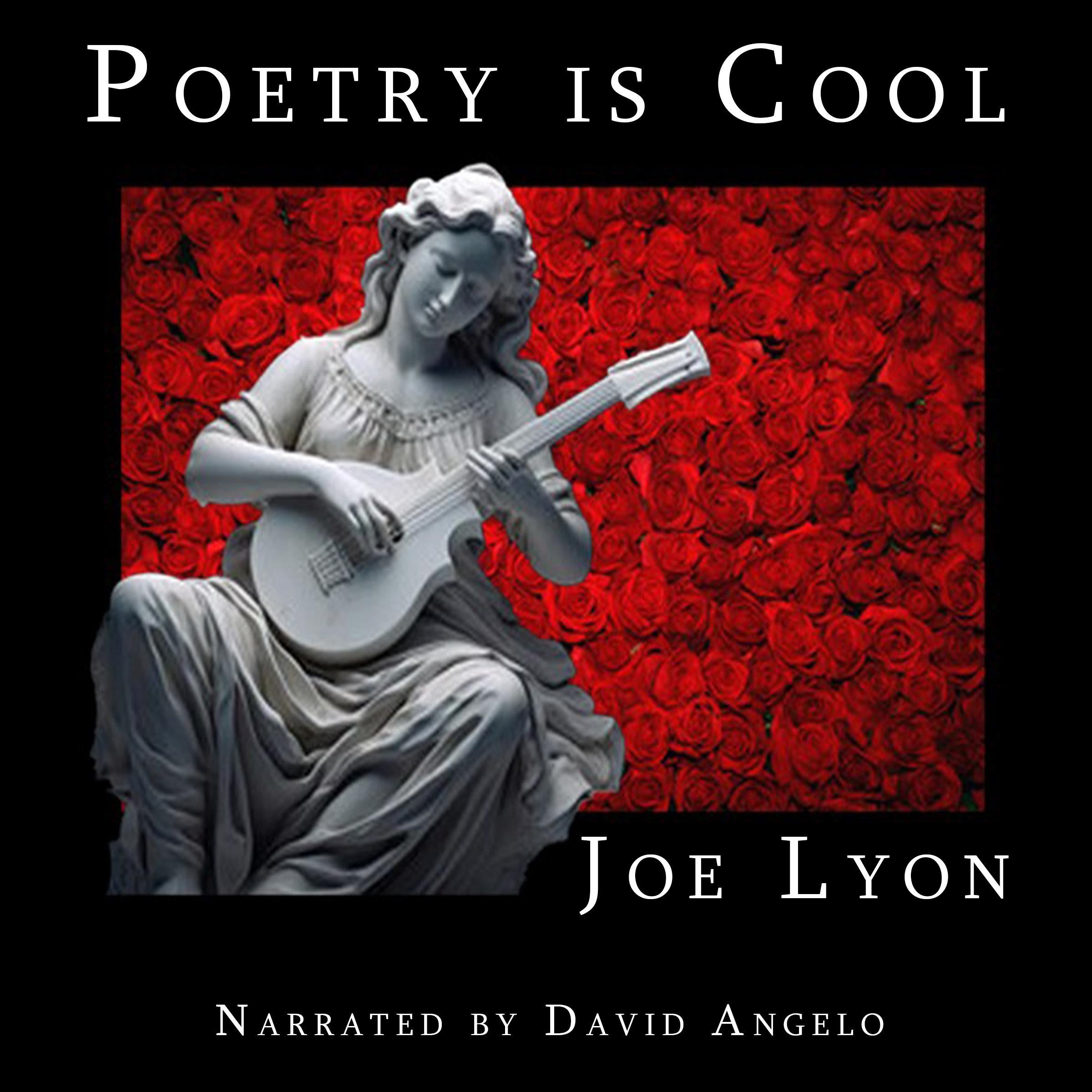 Poetry is Cool
