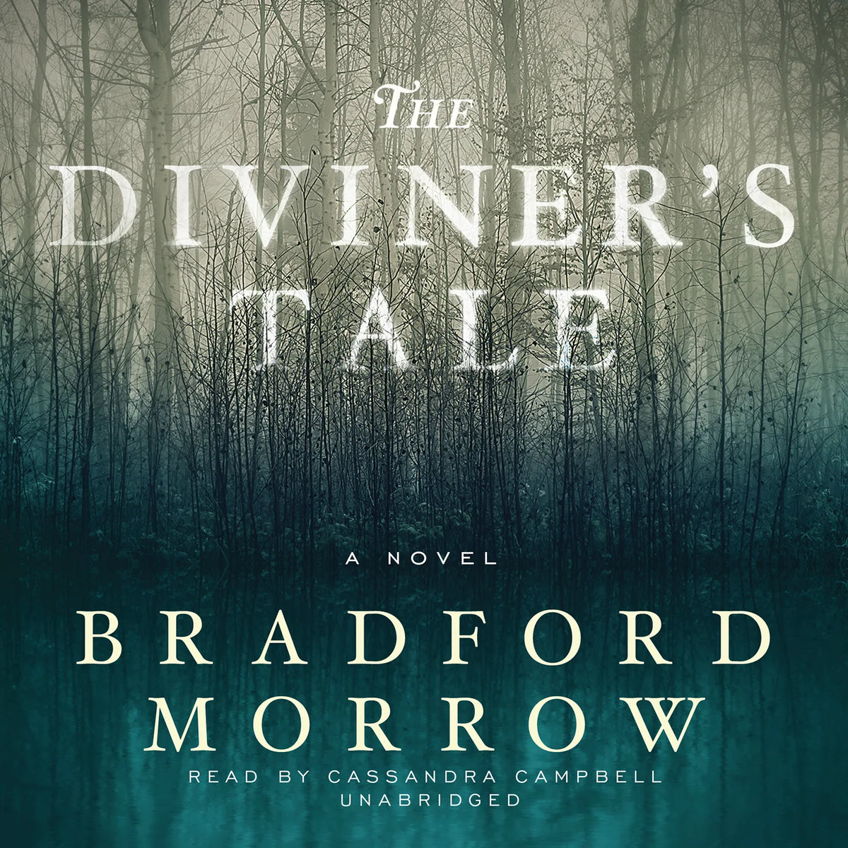 The Diviner’s Tale