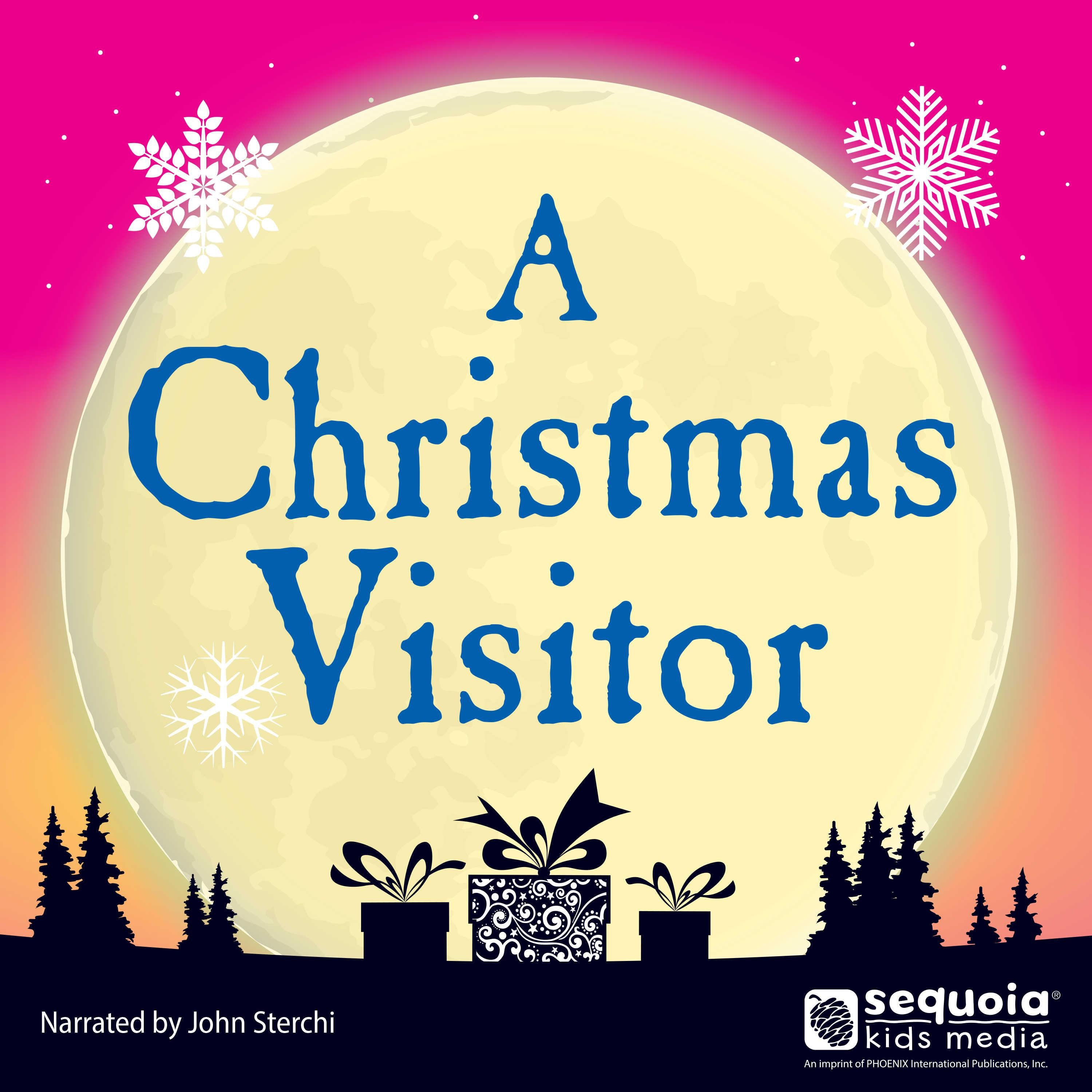 A Christmas Visitor