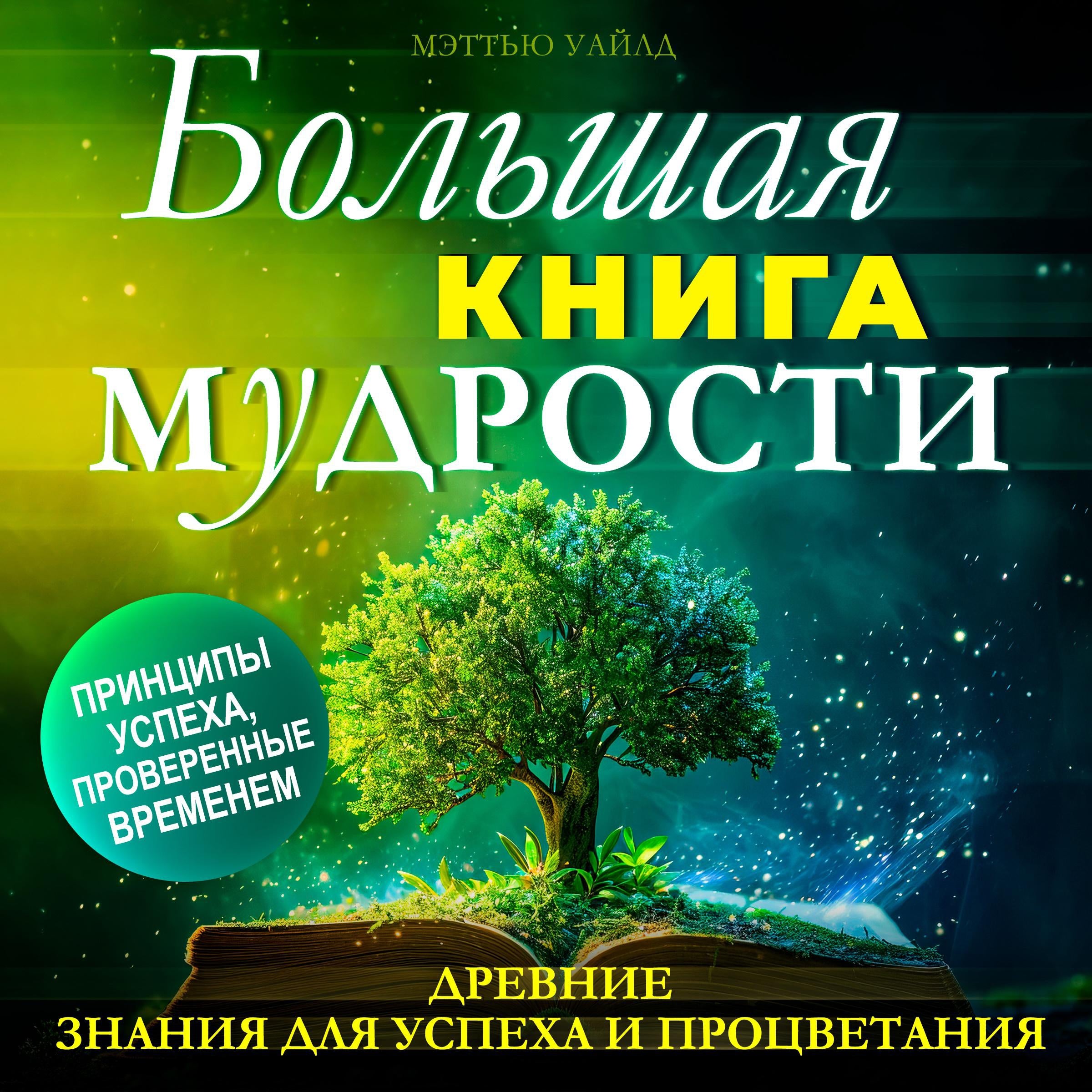 The Big Book of WISDOM