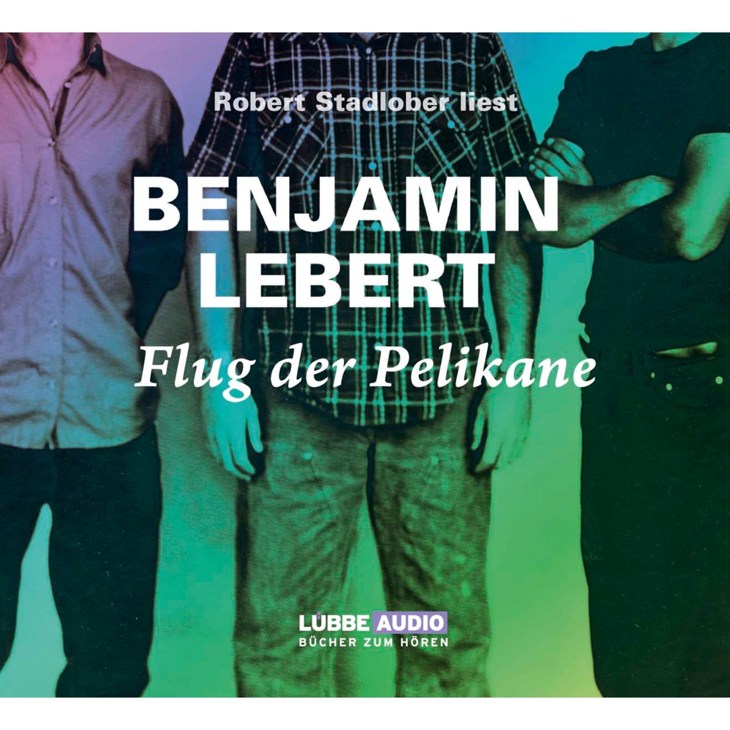 Flug der Pelikane