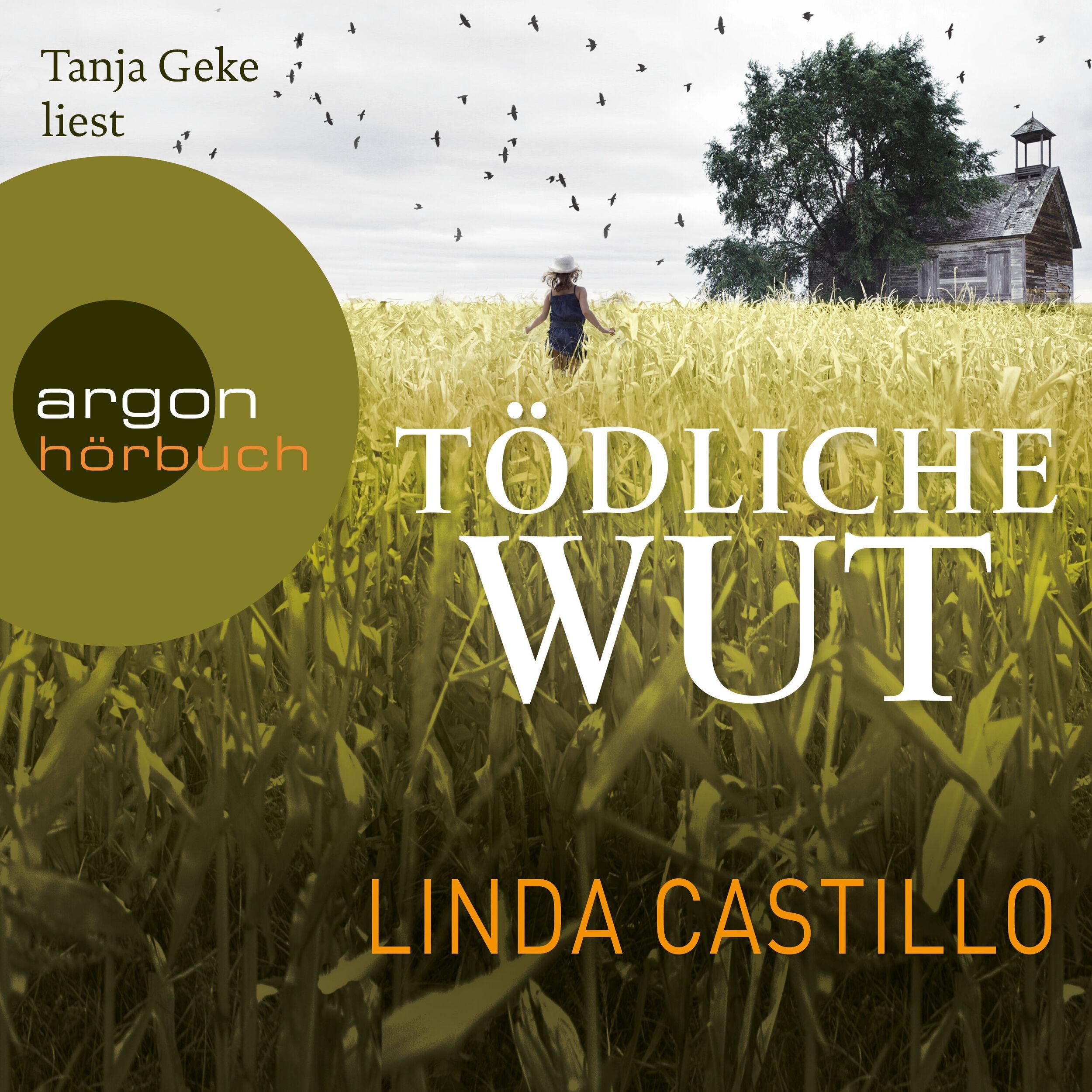 Tödliche Wut - Kate Burkholder ermittelt, Band 4 (Gekürzte Fassung)