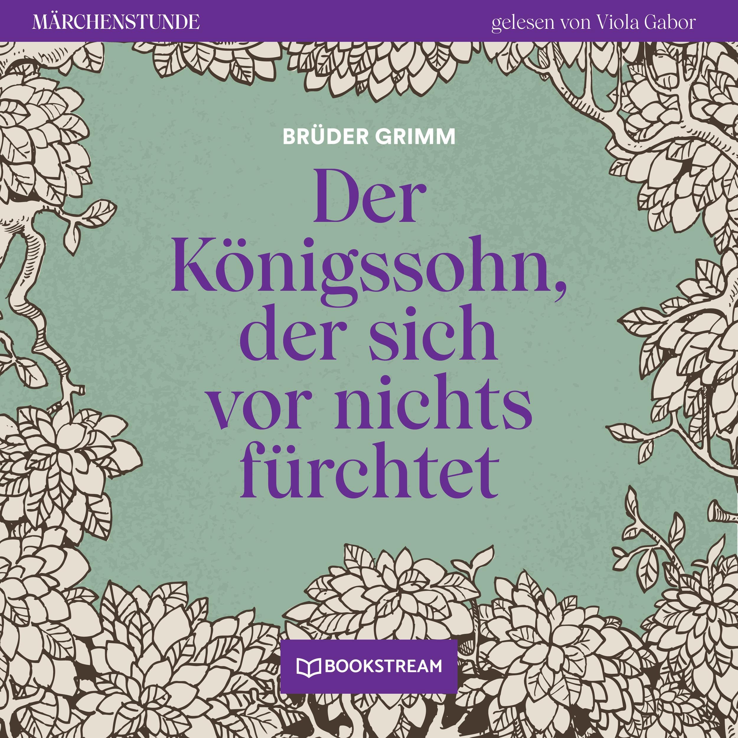 Der Königssohn, der sich vor nichts fürchtet - Märchenstunde, Folge 67 (Ungekürzt)