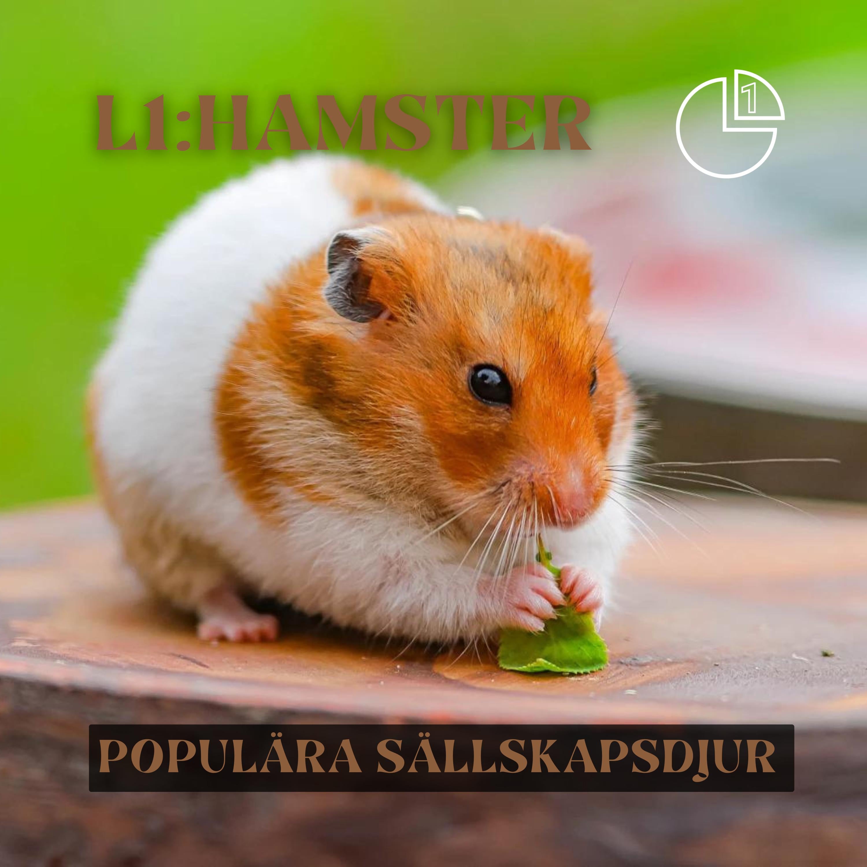 Hamster