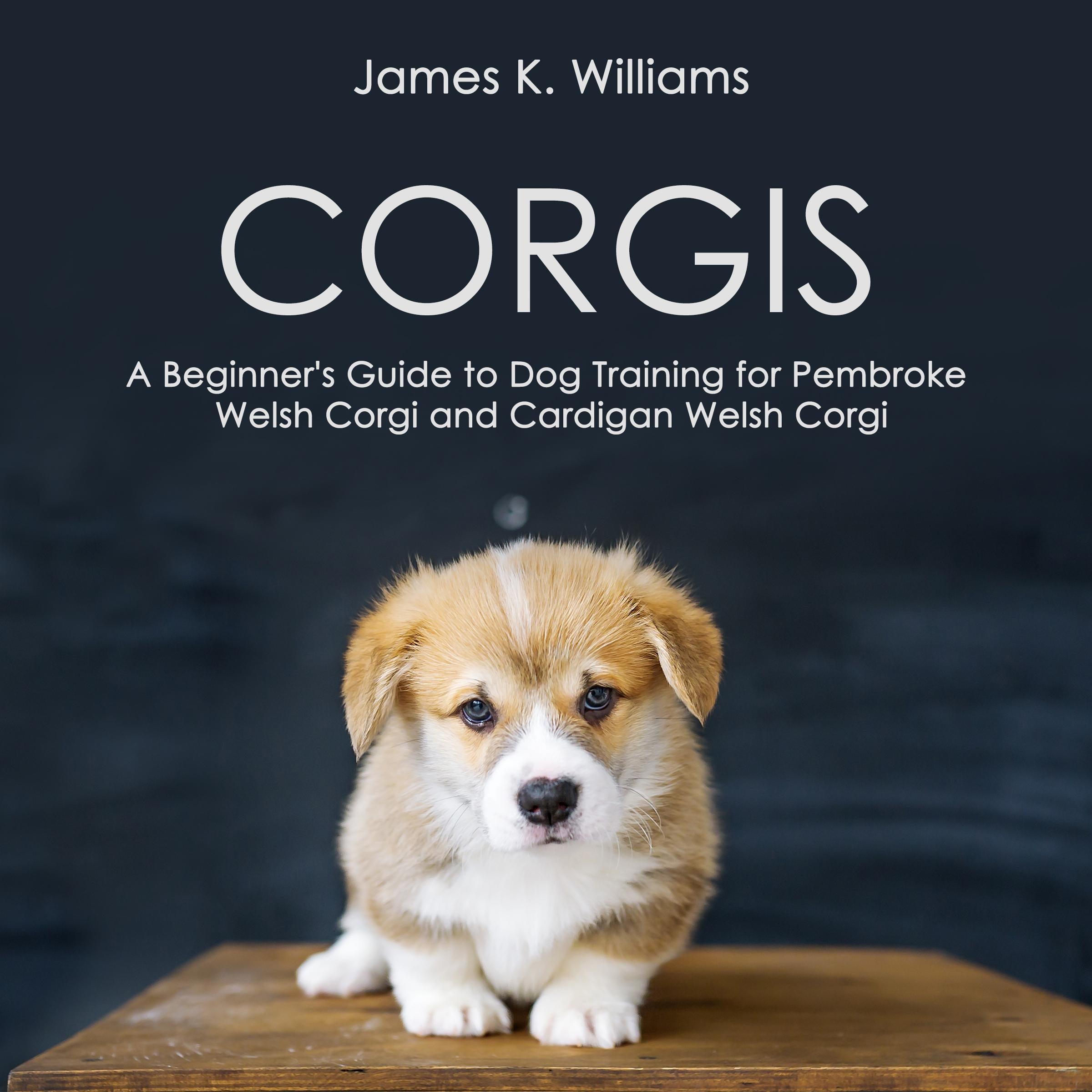 Corgis