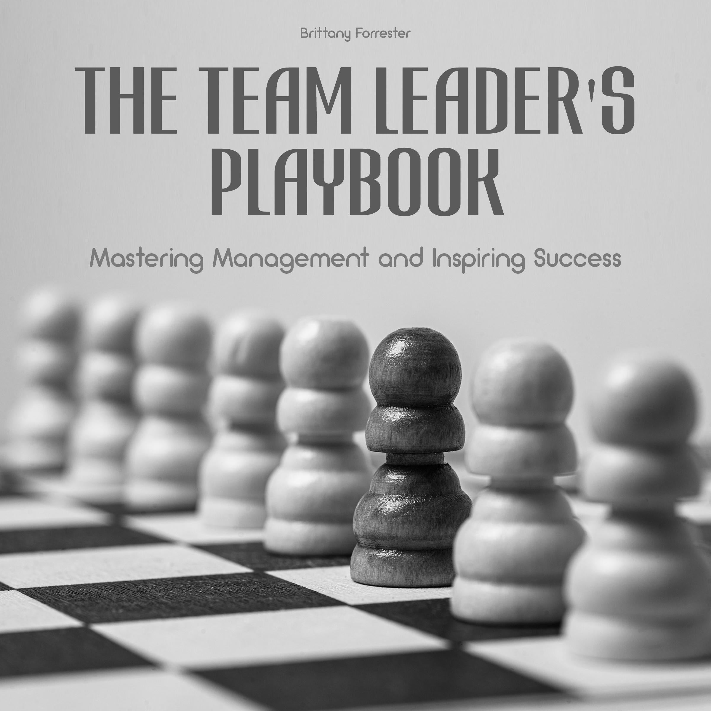 The Team Leader's Playbook