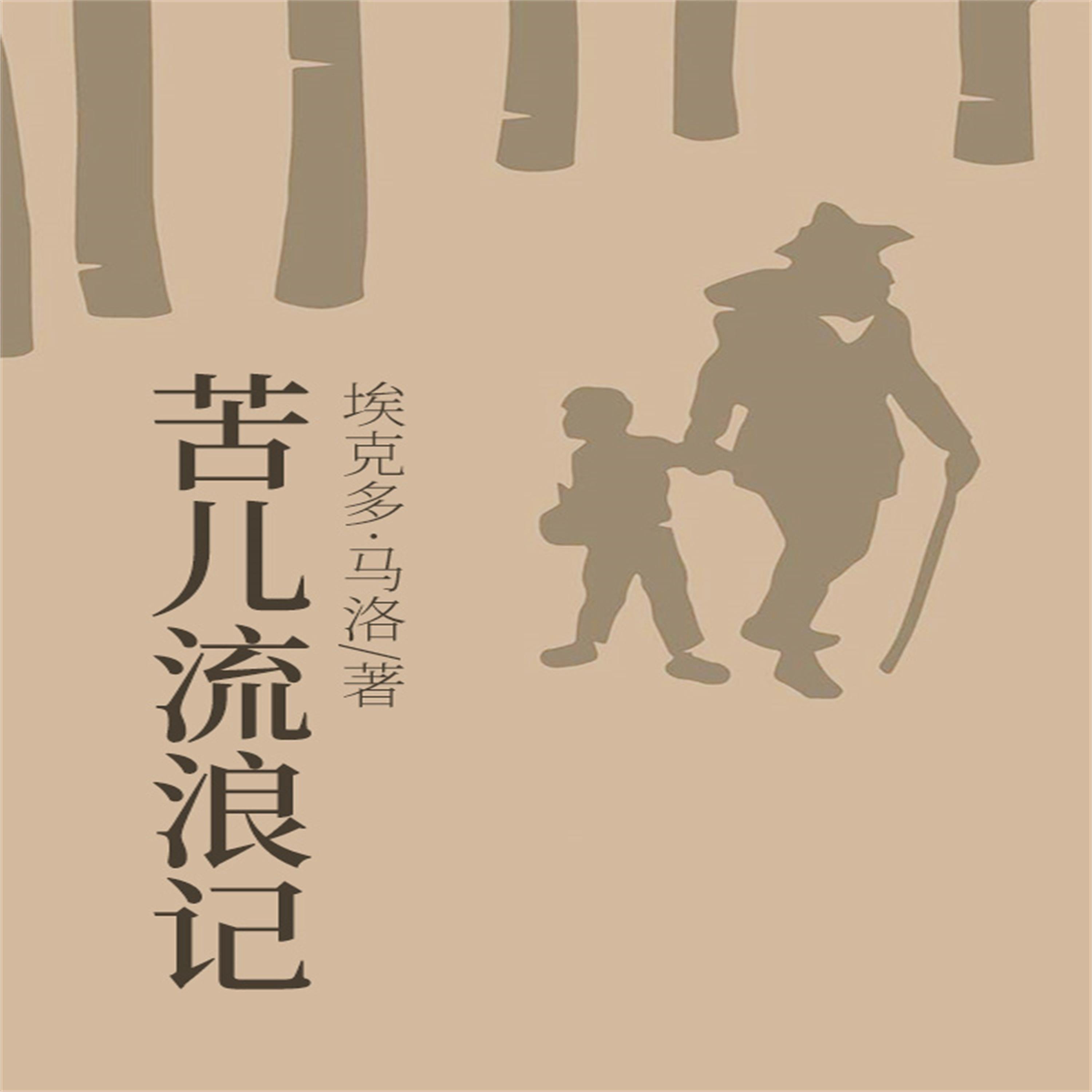 苦儿流浪记