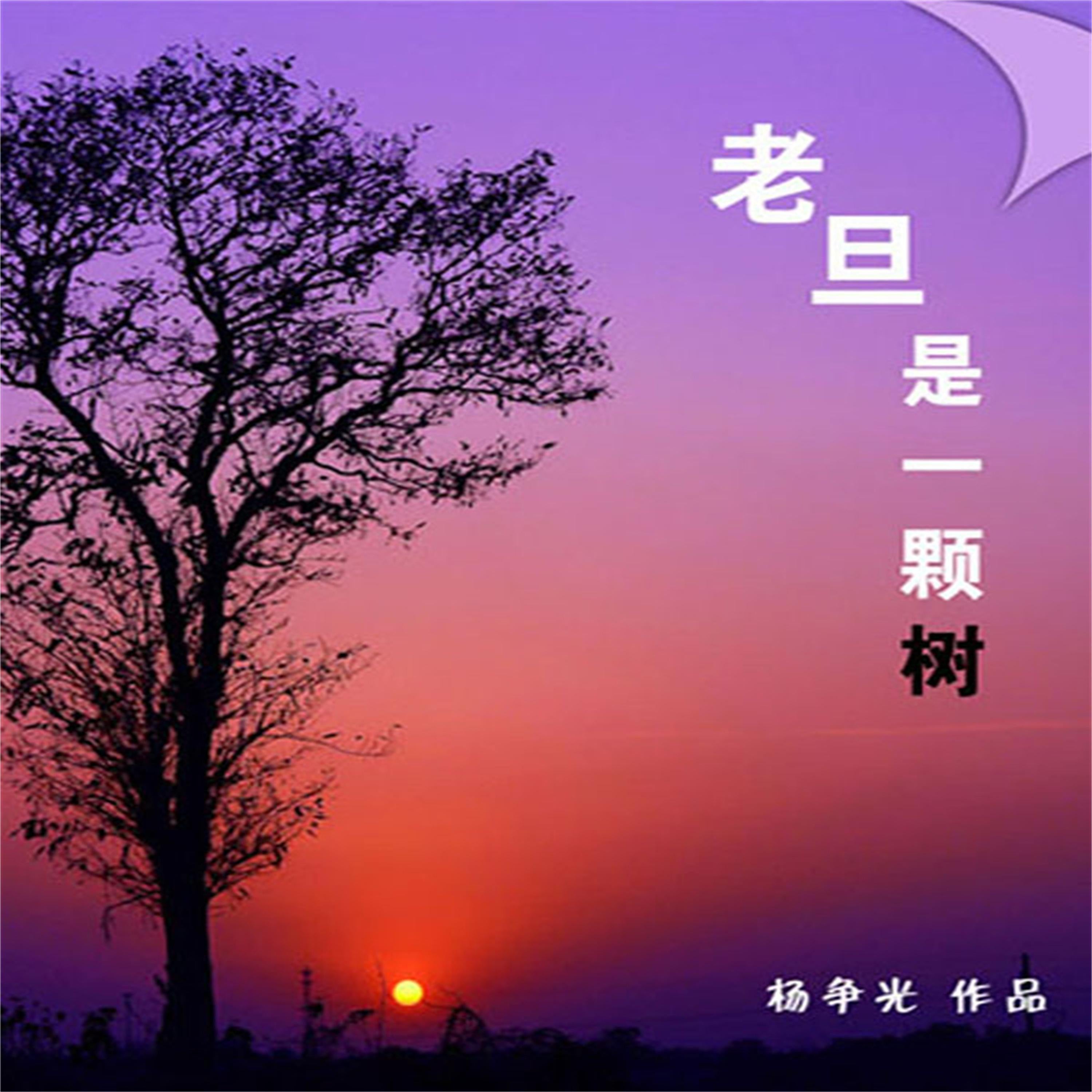 老旦是一棵树