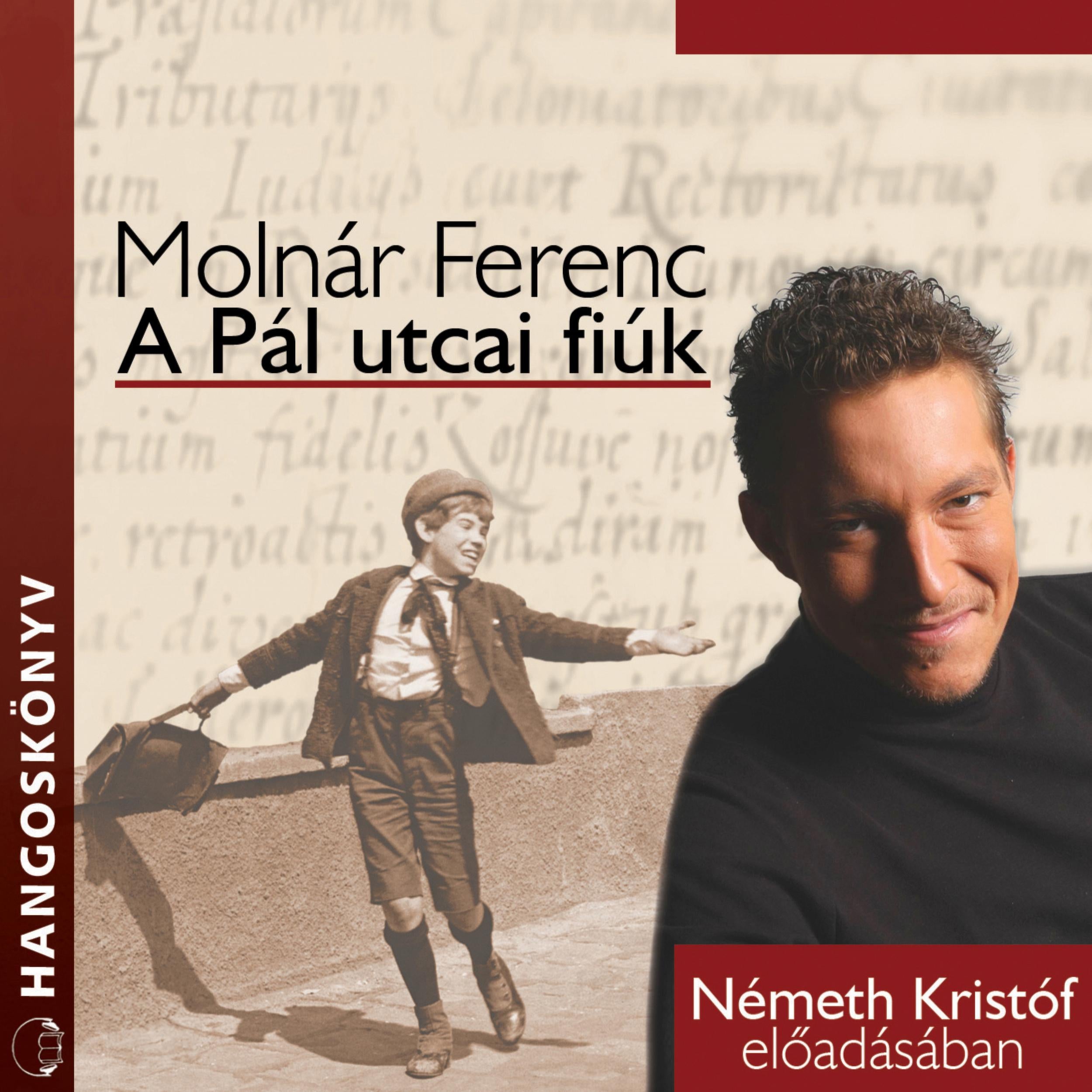 A Pál utcai fiúk (teljes)