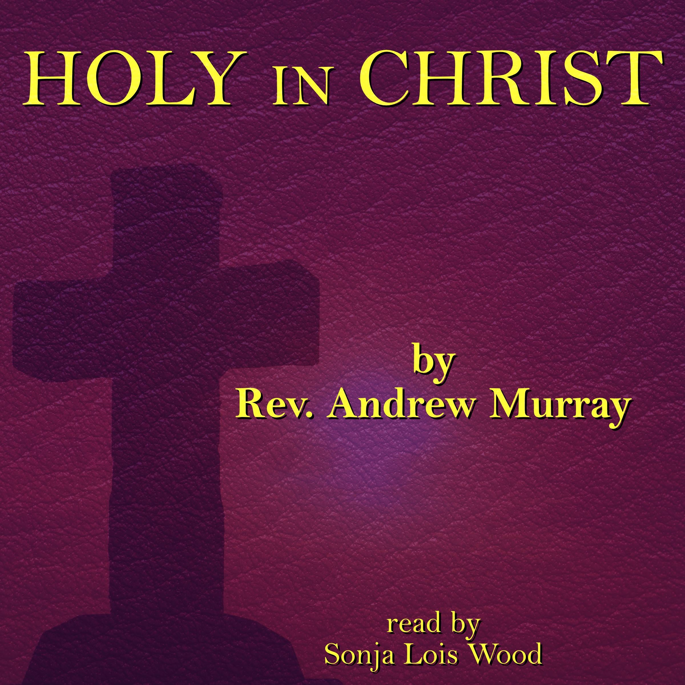 Holy in Christ