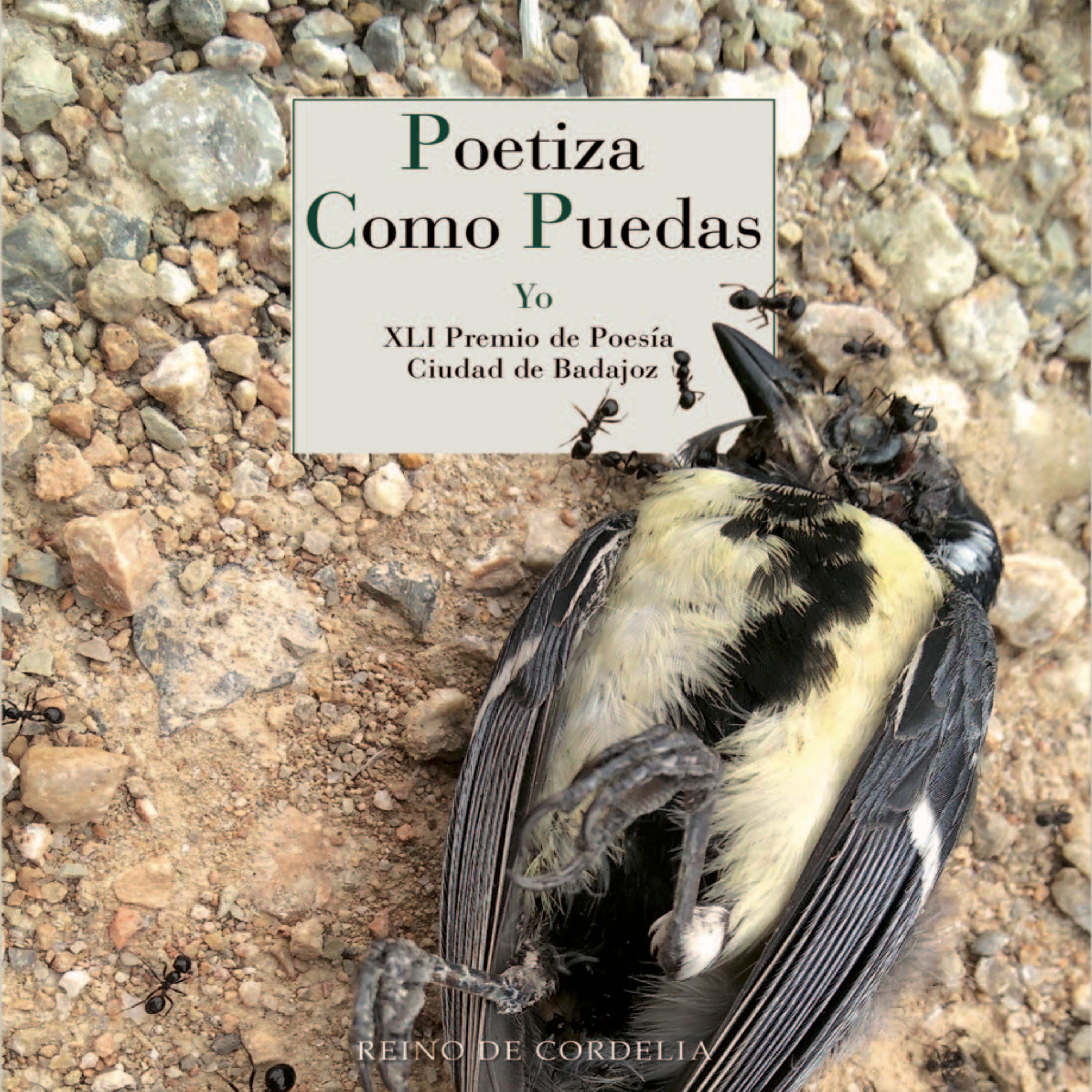 Poetiza como puedas