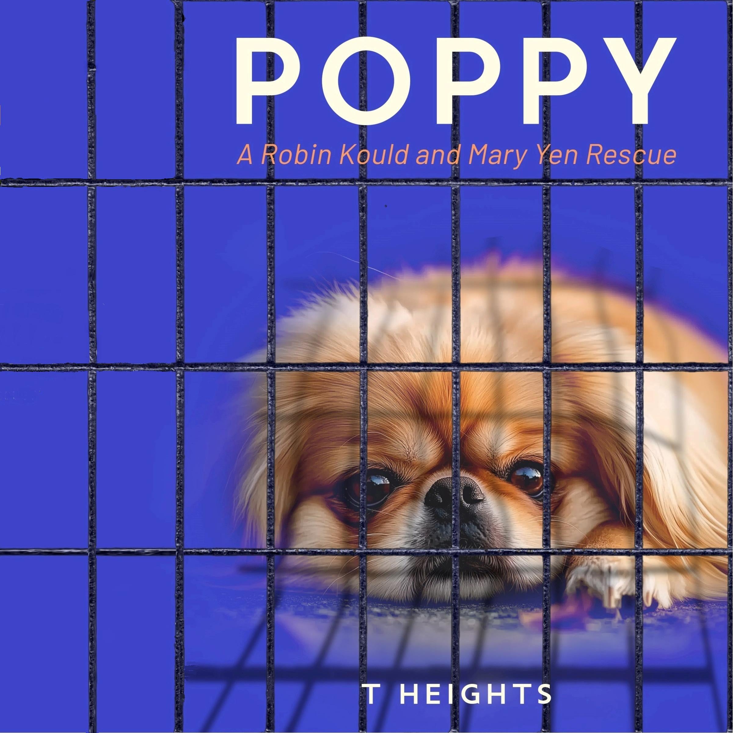 Poppy