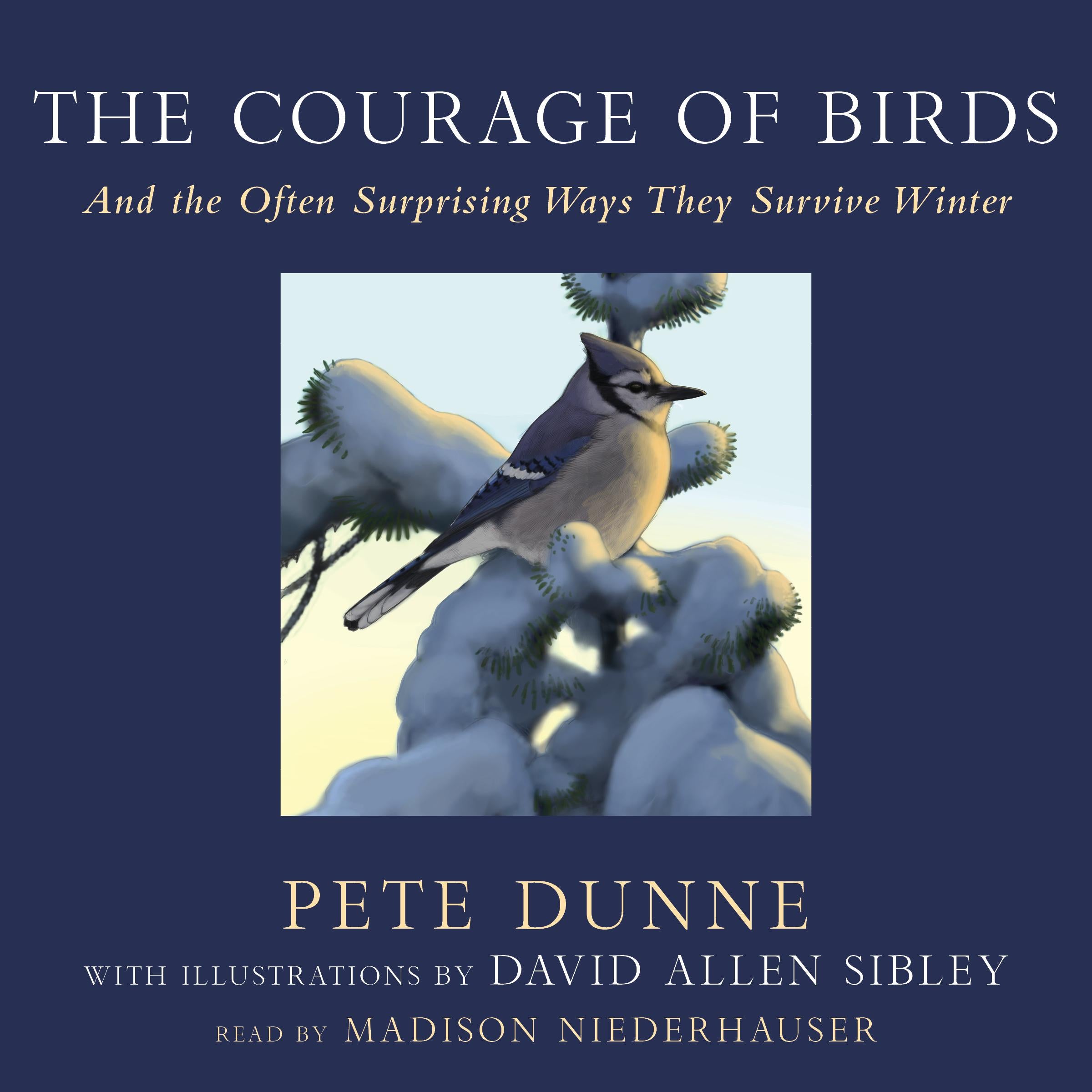 The Courage of Birds