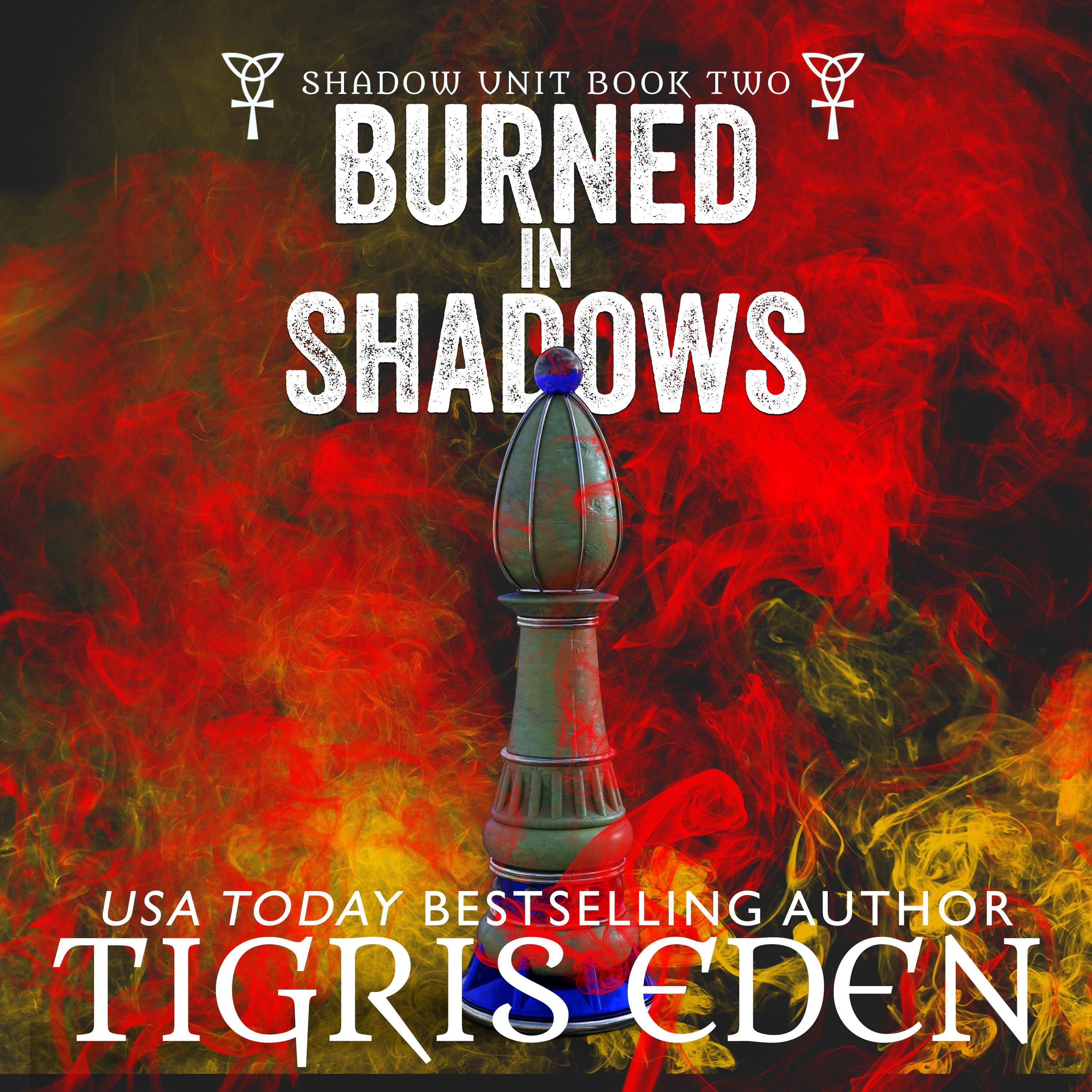 Burned in Shadows