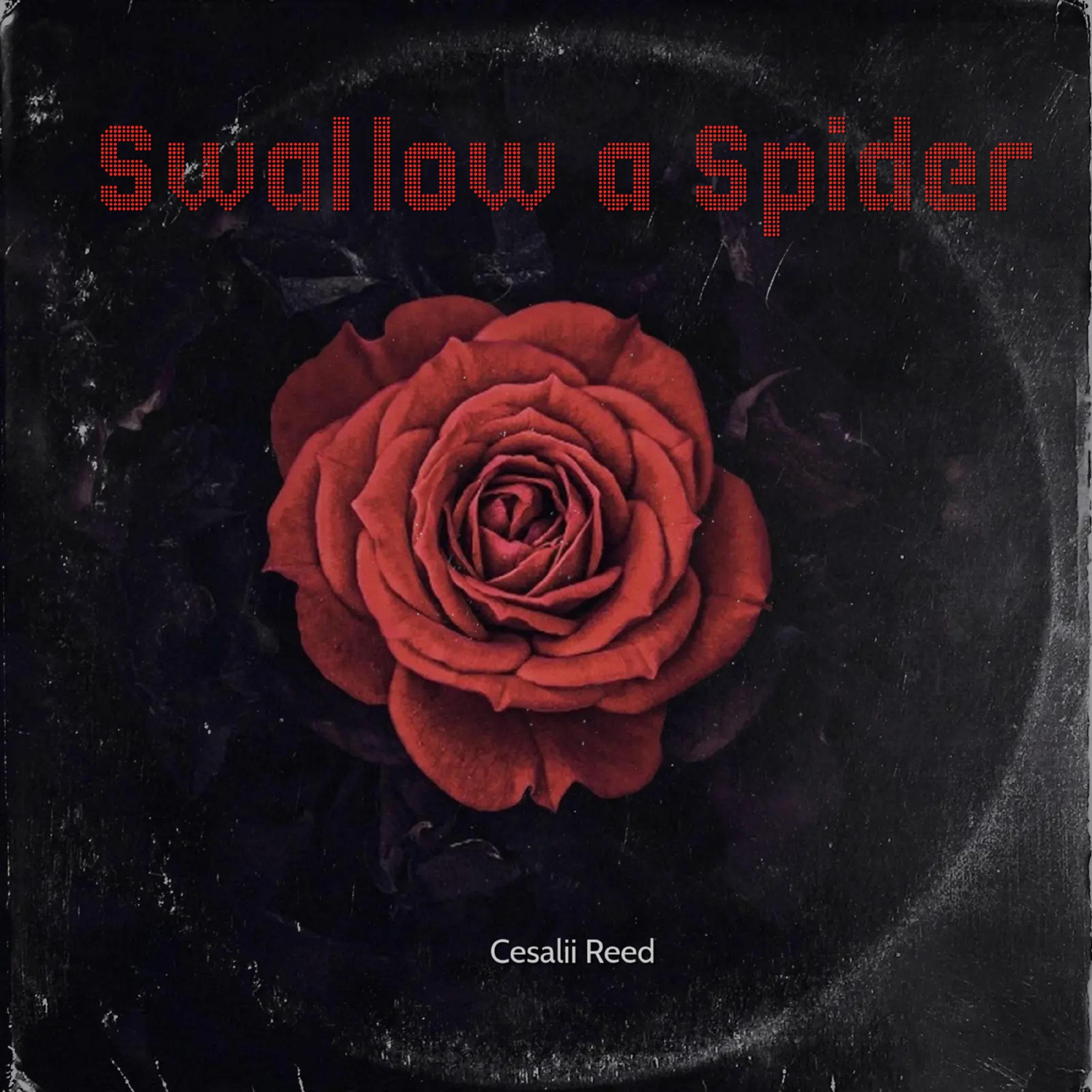 Swallow a Spider