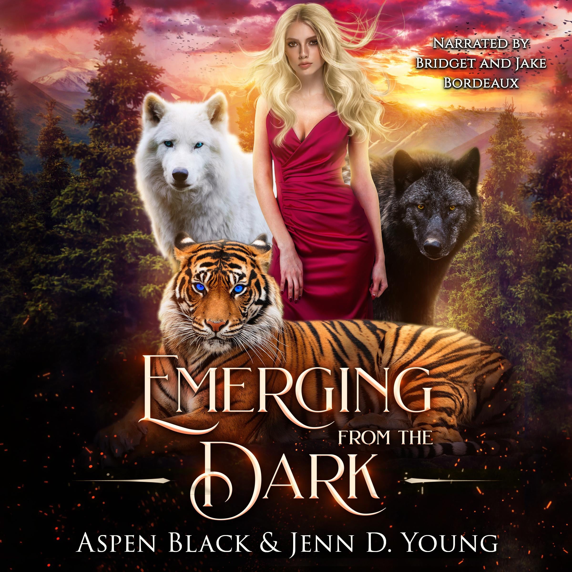 Emerging From the Dark