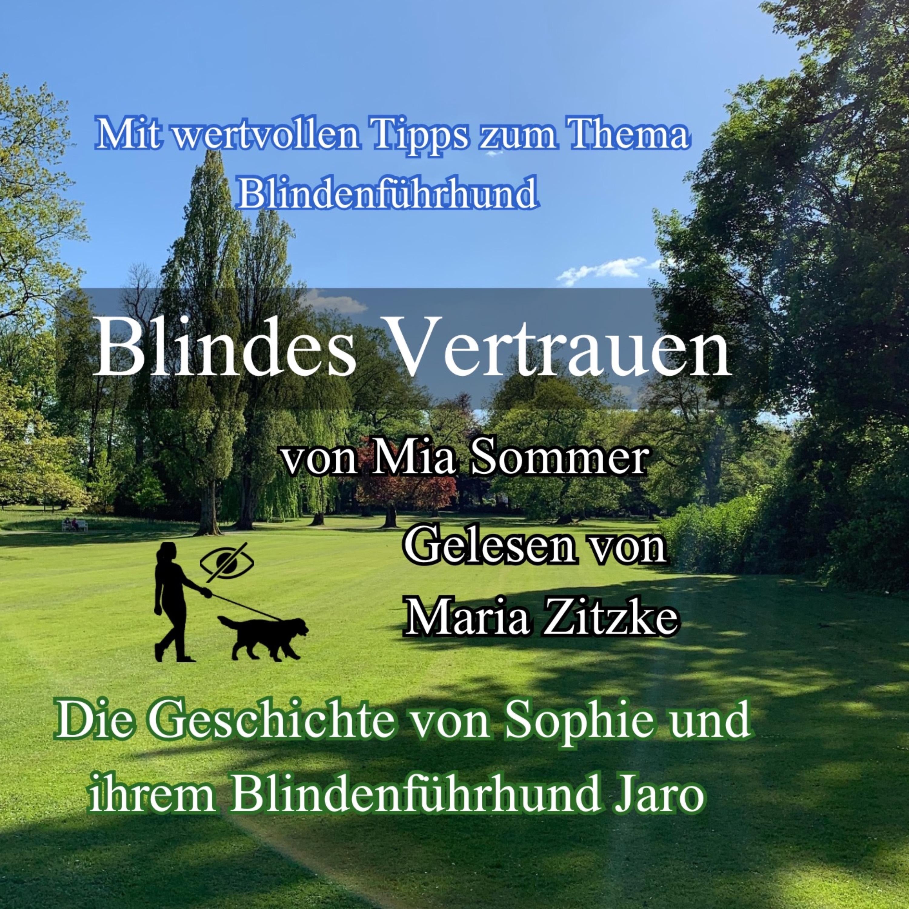 Blindes Vertrauen
