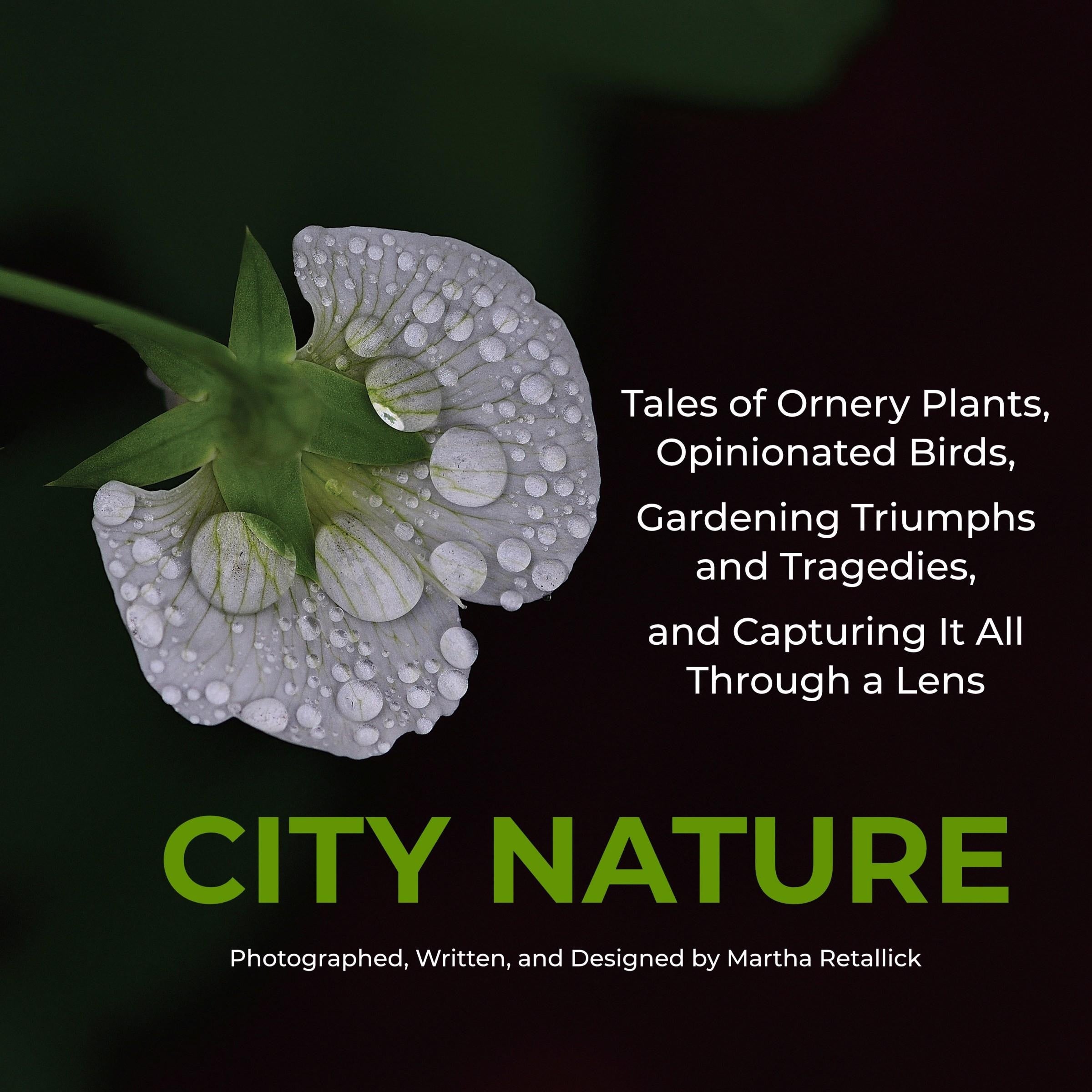 City Nature