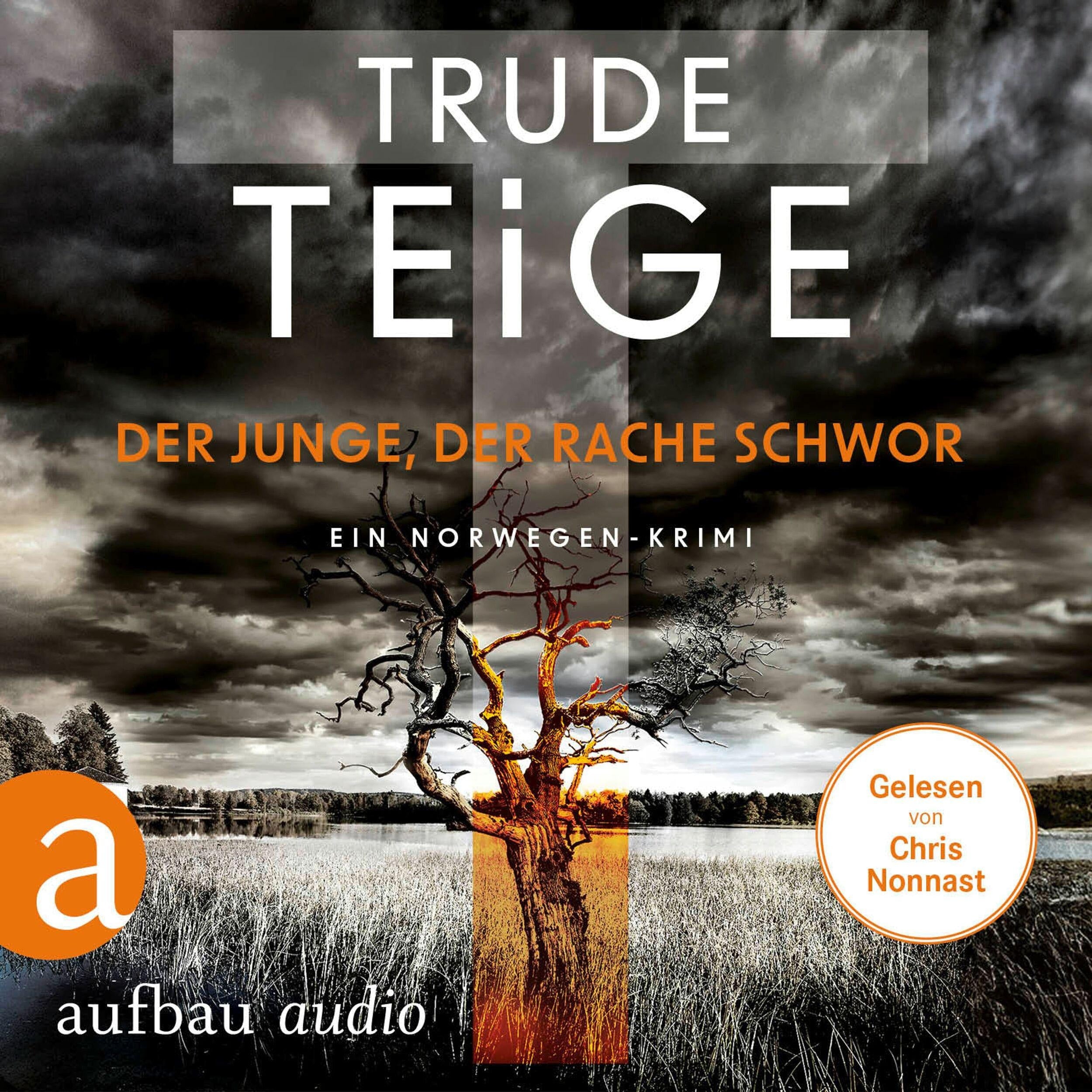 Der Junge, der Rache schwor - Kajsa Coren, Band 1 (Ungekürzt)