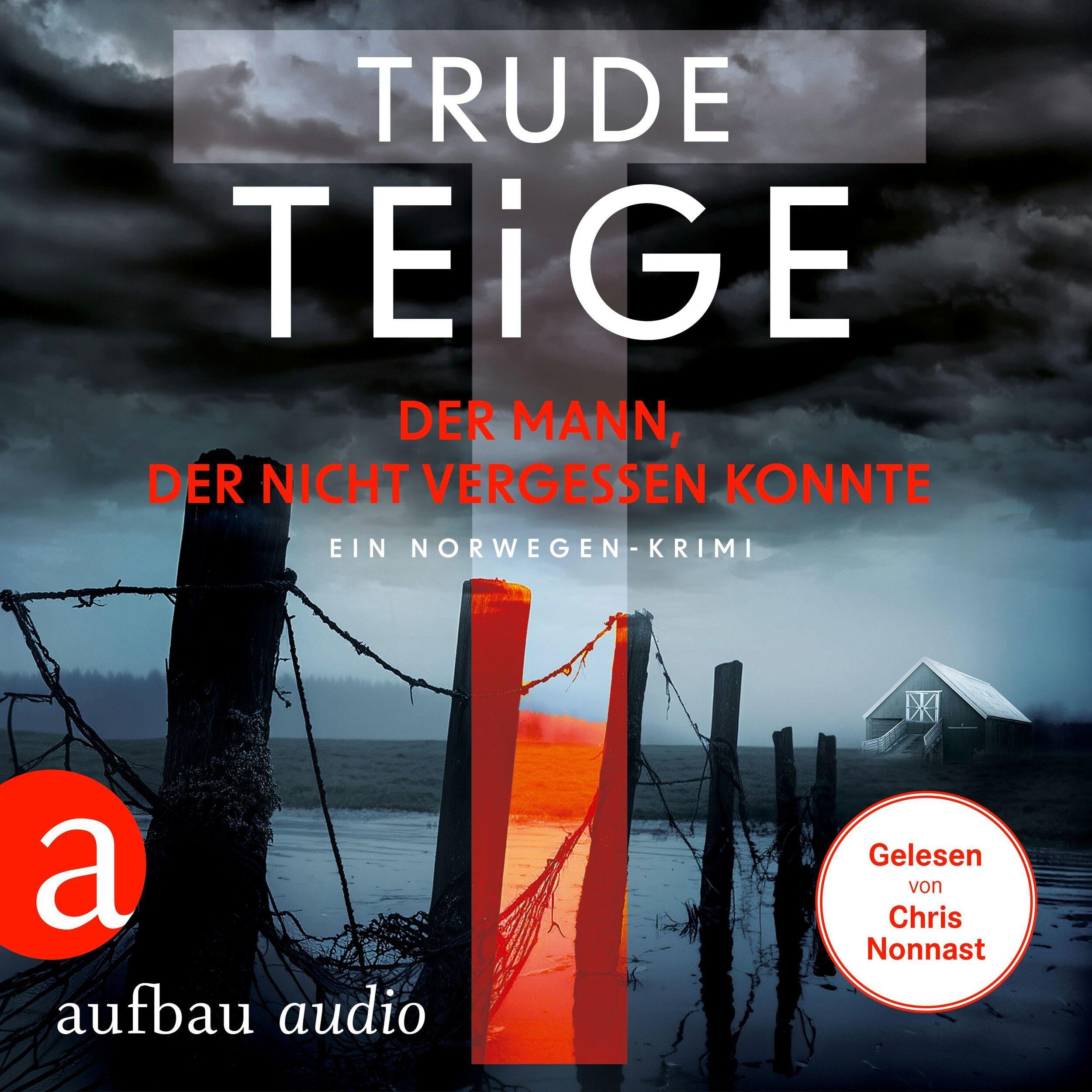 Der Mann, der nicht vergessen konnte - Kajsa Coren, Band 6 (Ungekürzt)