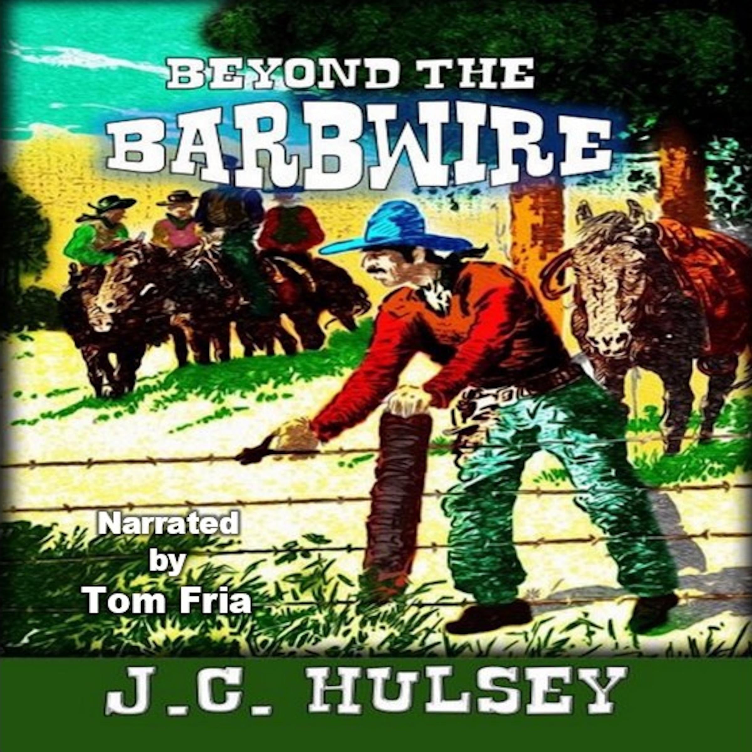 Beyond The Barb Wire - The Other Side Of The Fence