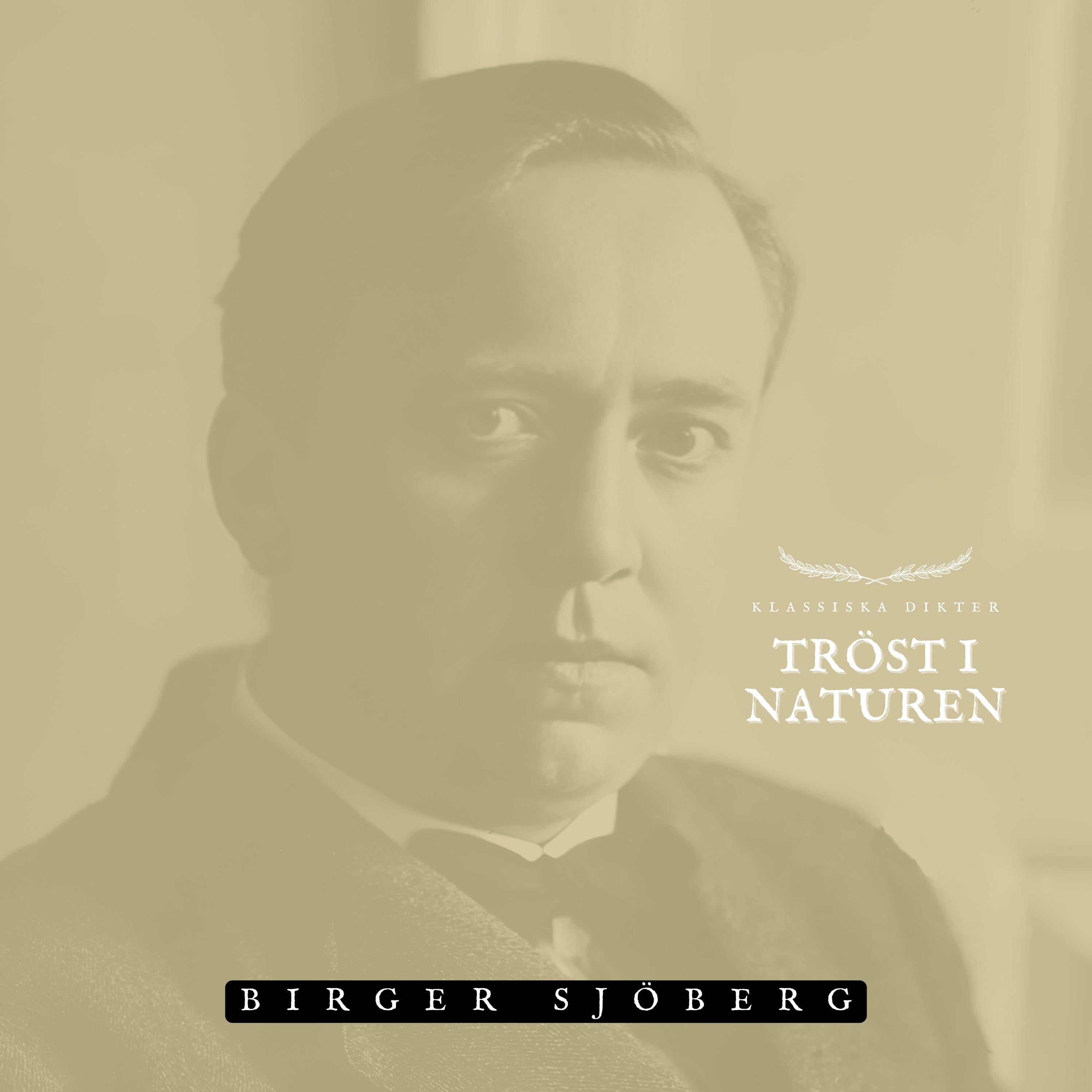 Tröst i naturen