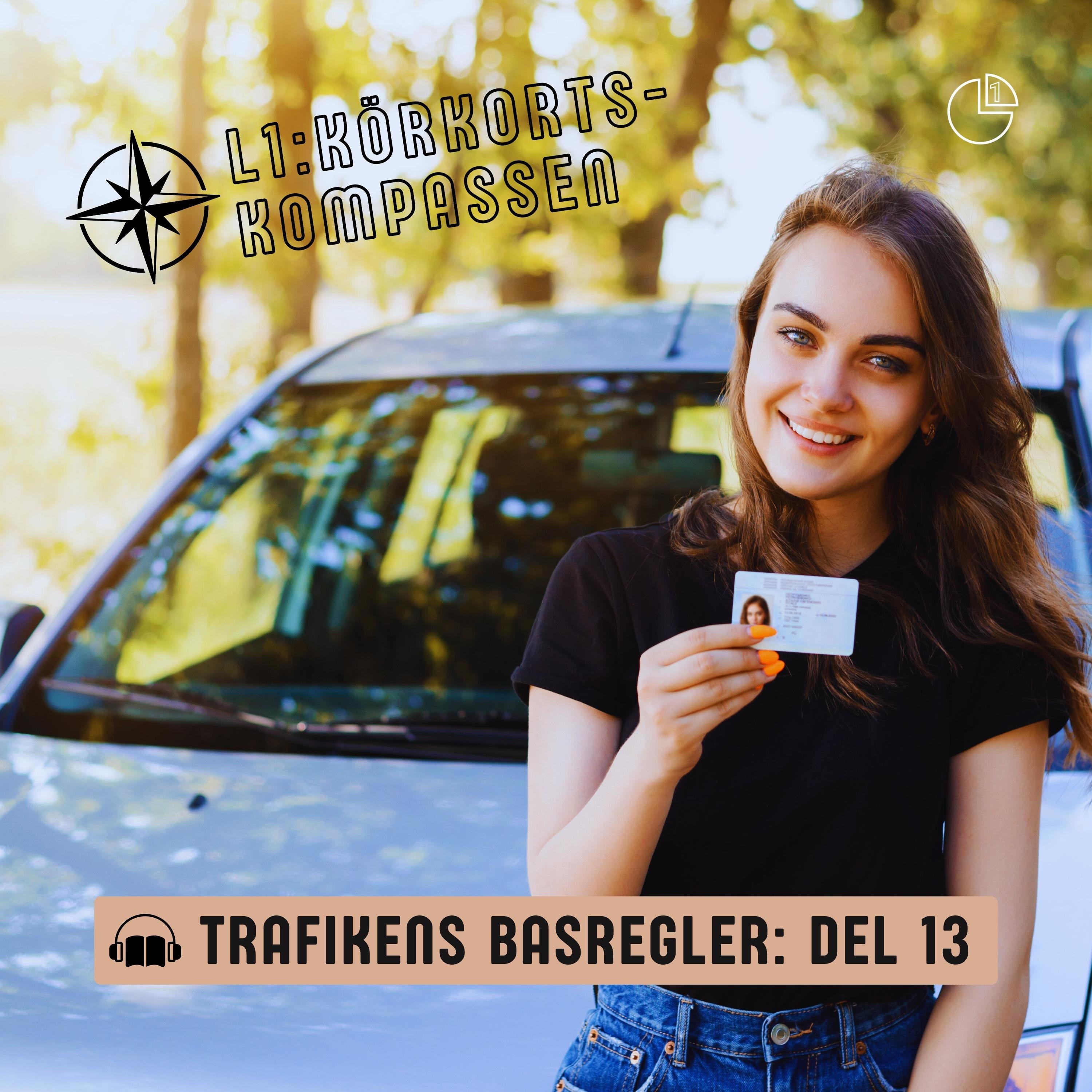 Trafikens basregler - Del 13